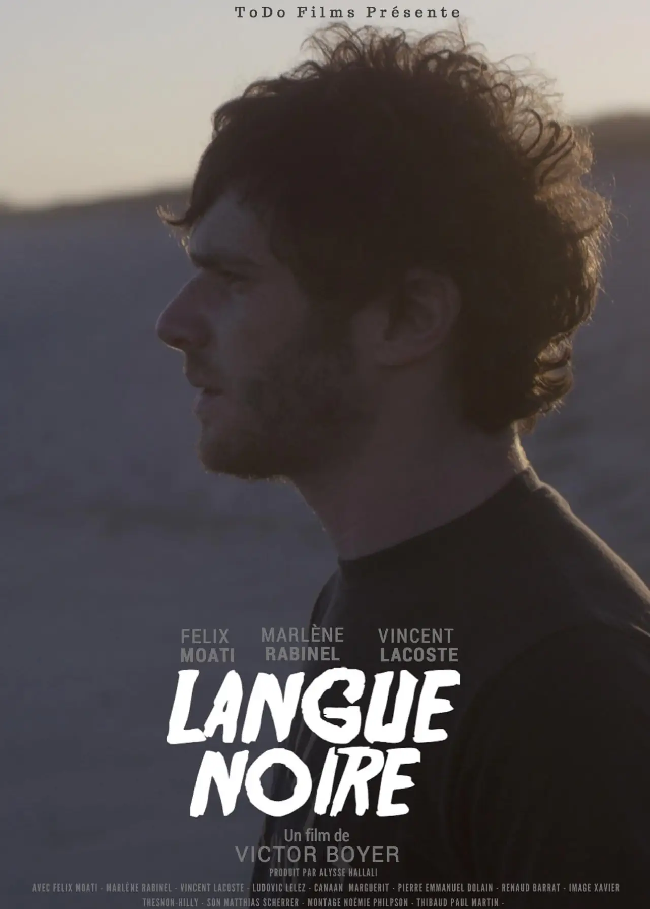 Постер к фильму "Langue noire"