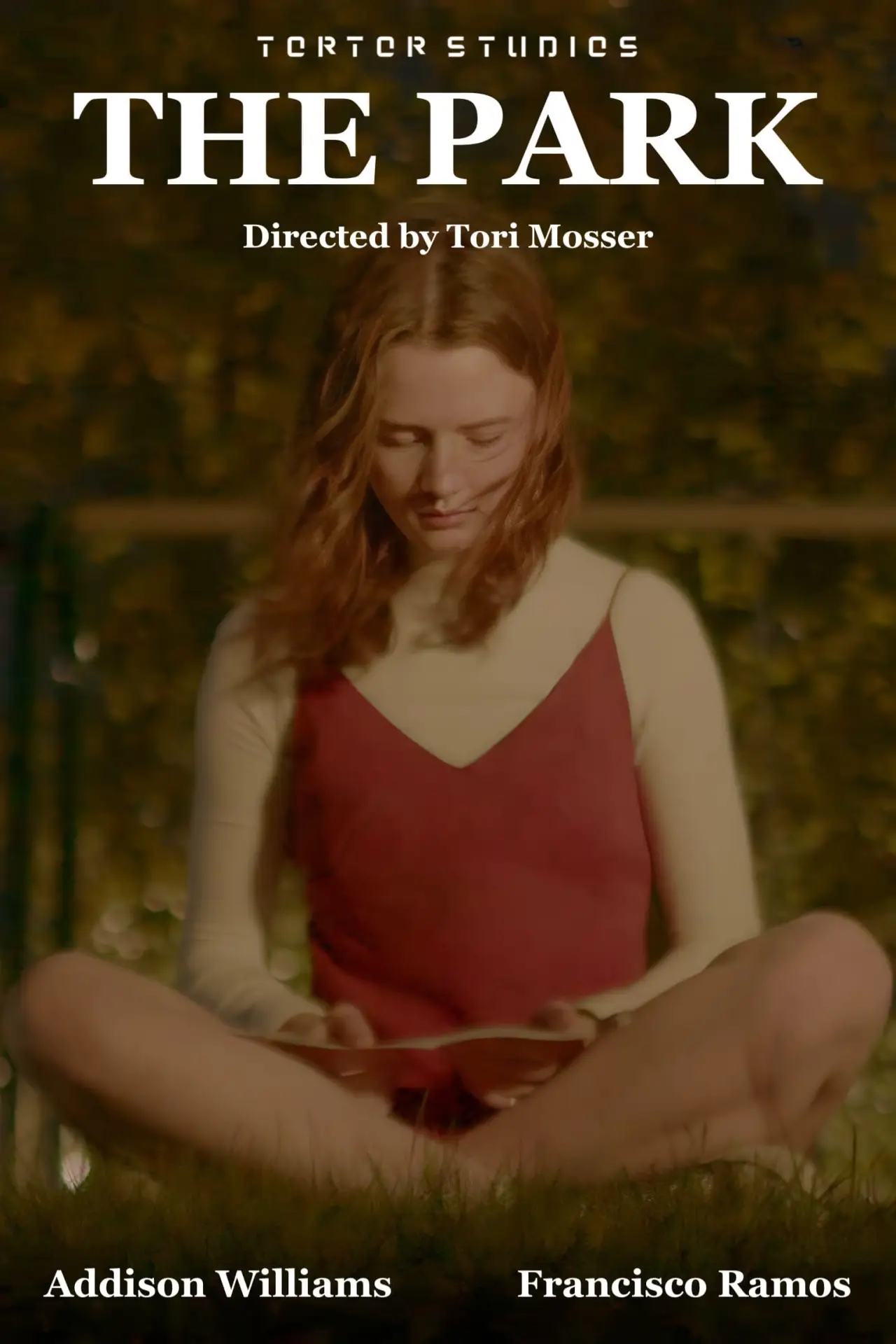 Постер к фильму "The Park"