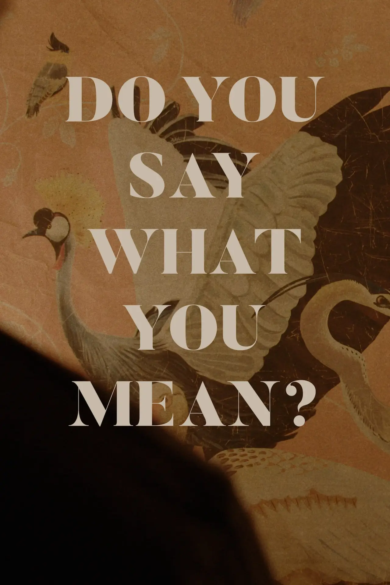 Постер к фильму "Do You Say What You Mean?"