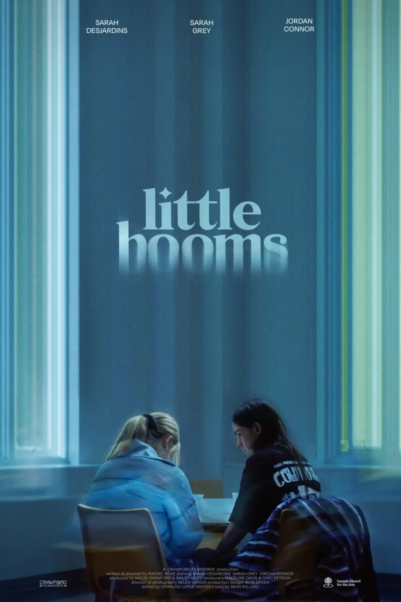 Постер к фильму "Little Booms"