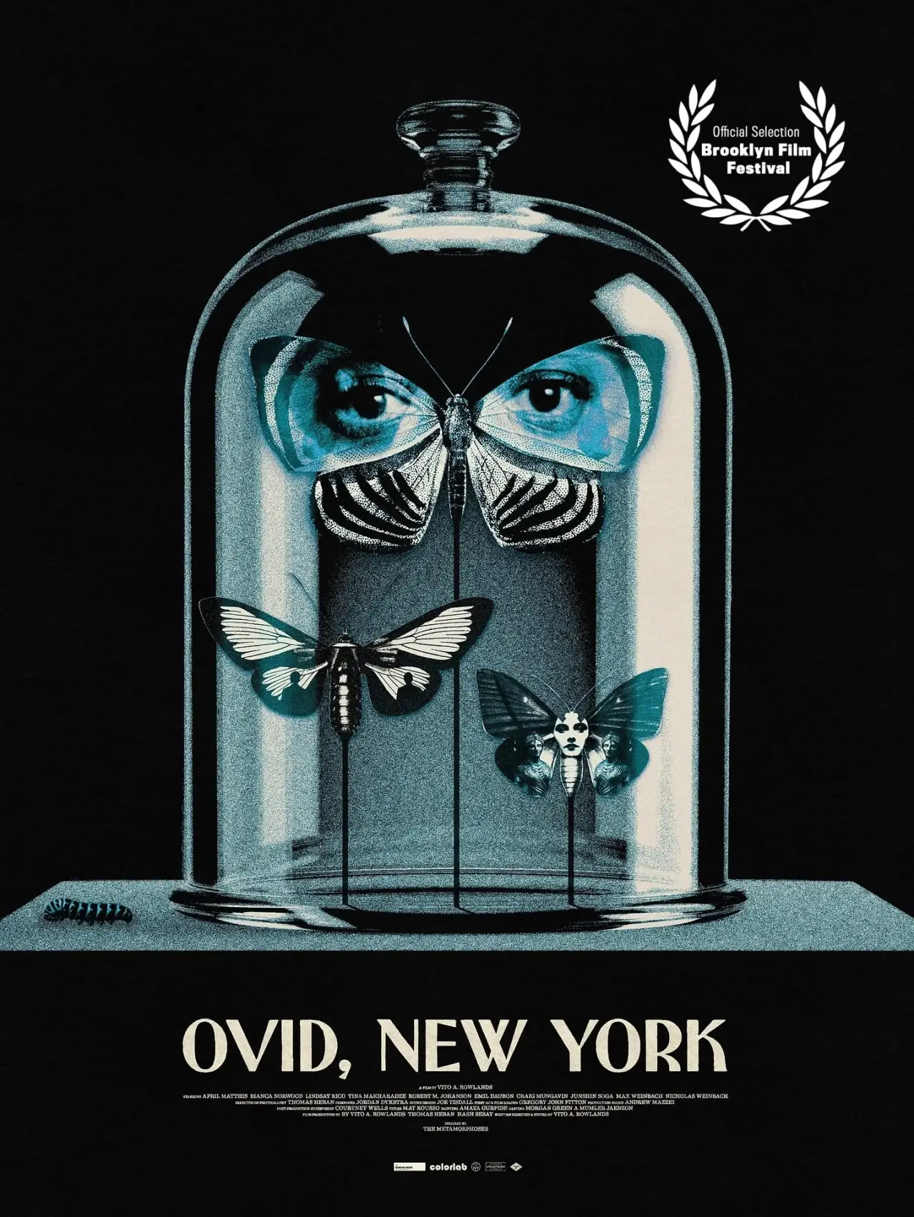 Постер к фильму "Ovid, New York"