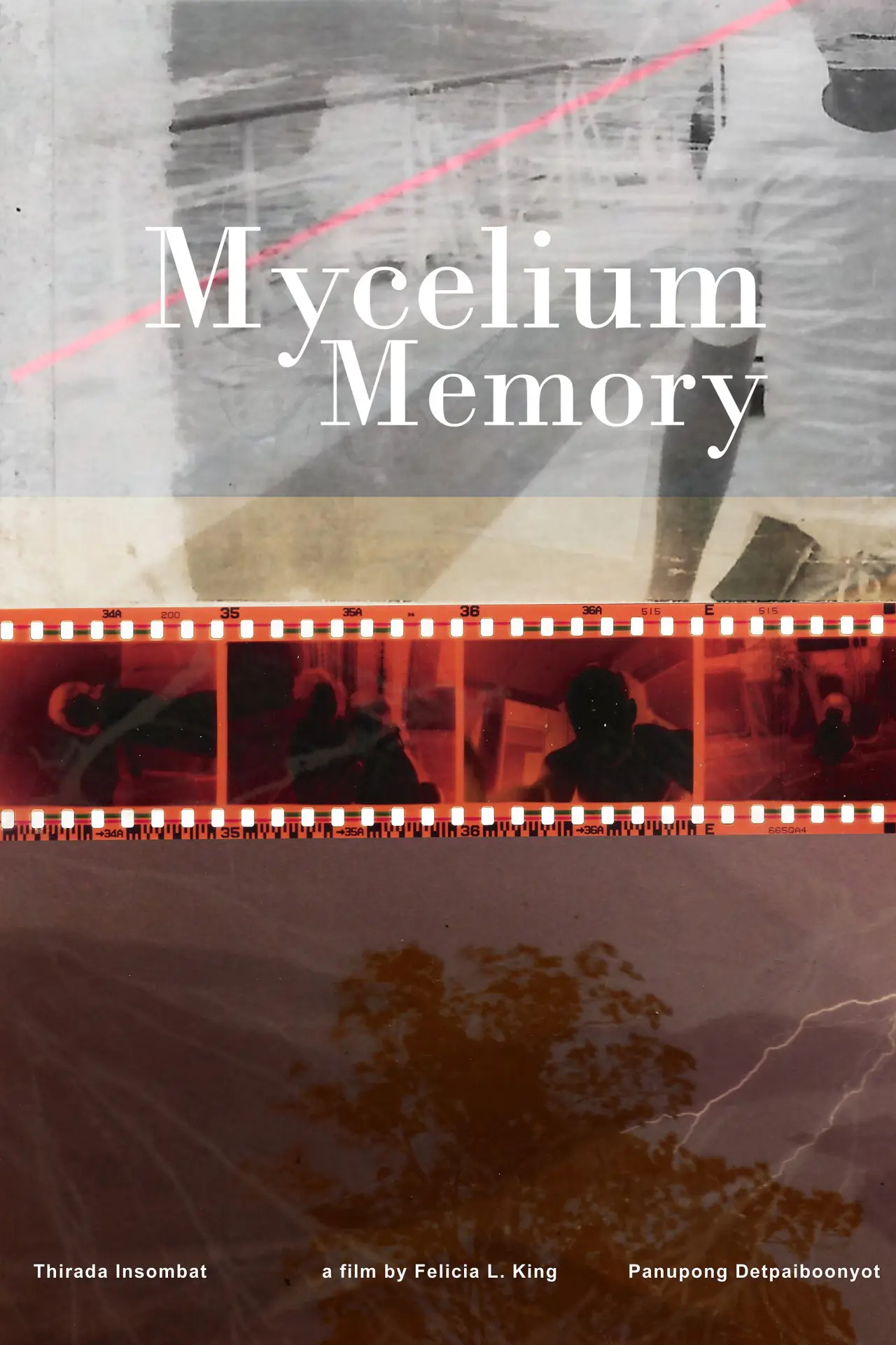 Постер к фильму "Mycelium Memory"