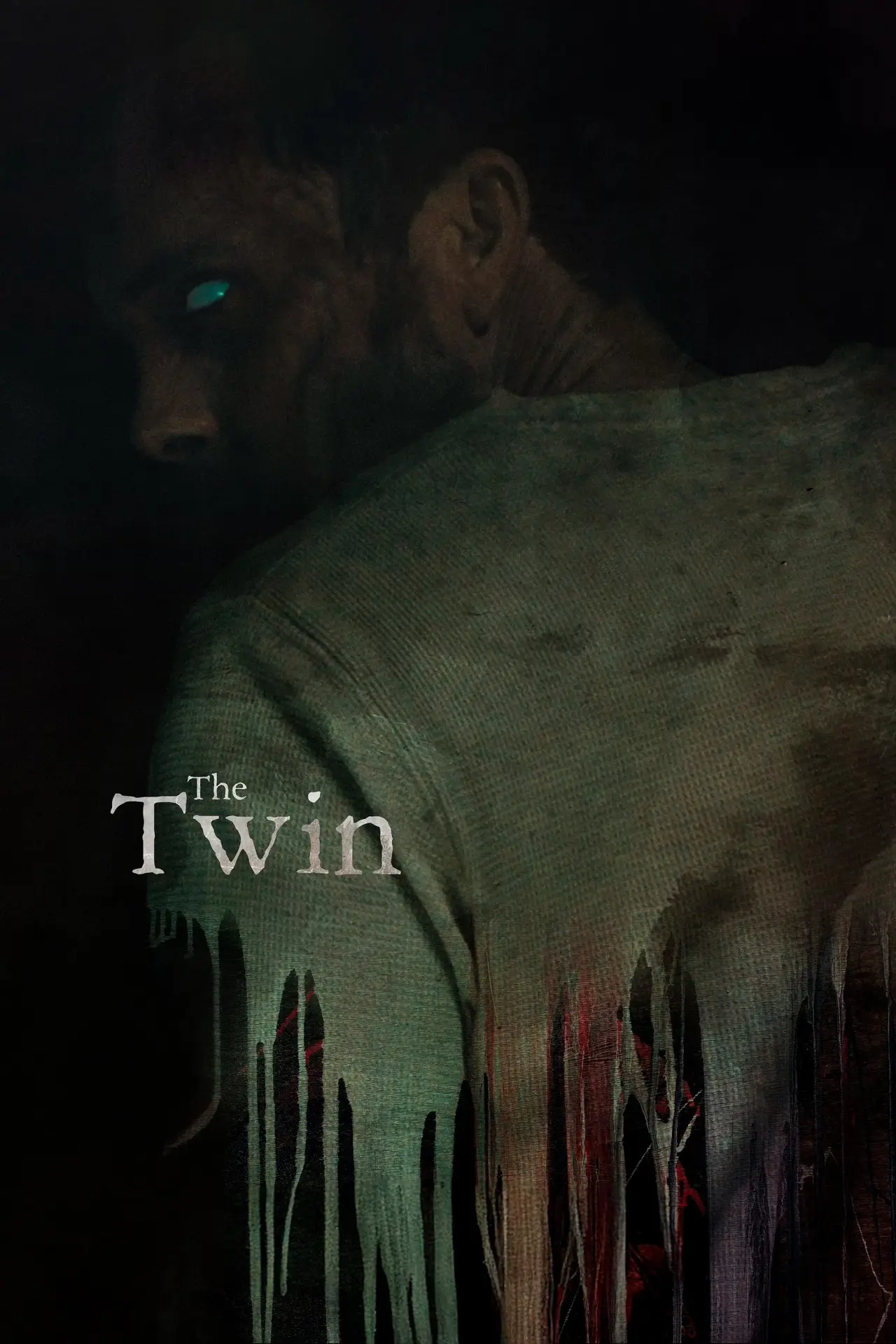 Постер к фильму "The Twin"