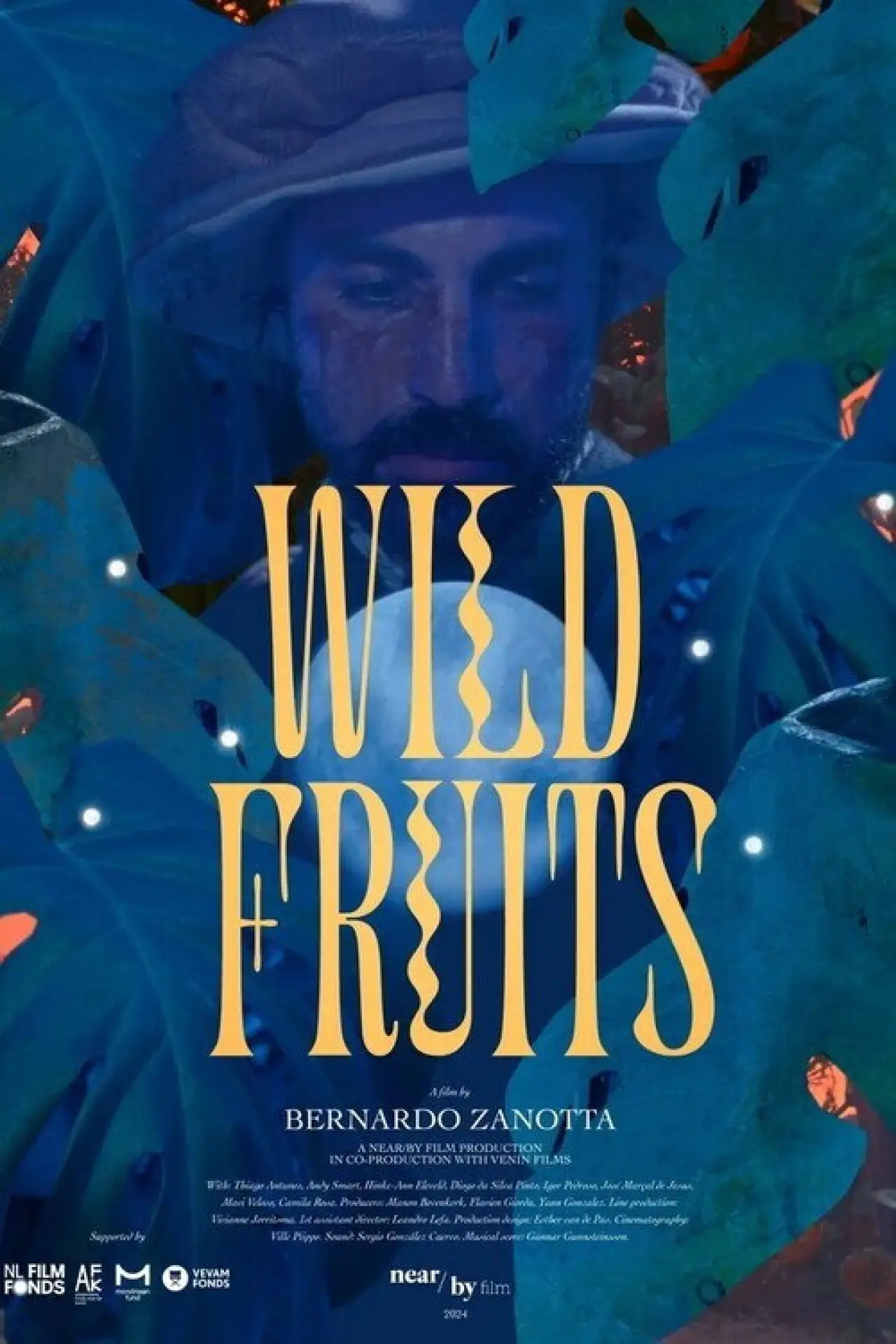 Постер к фильму "Wild Fruits"