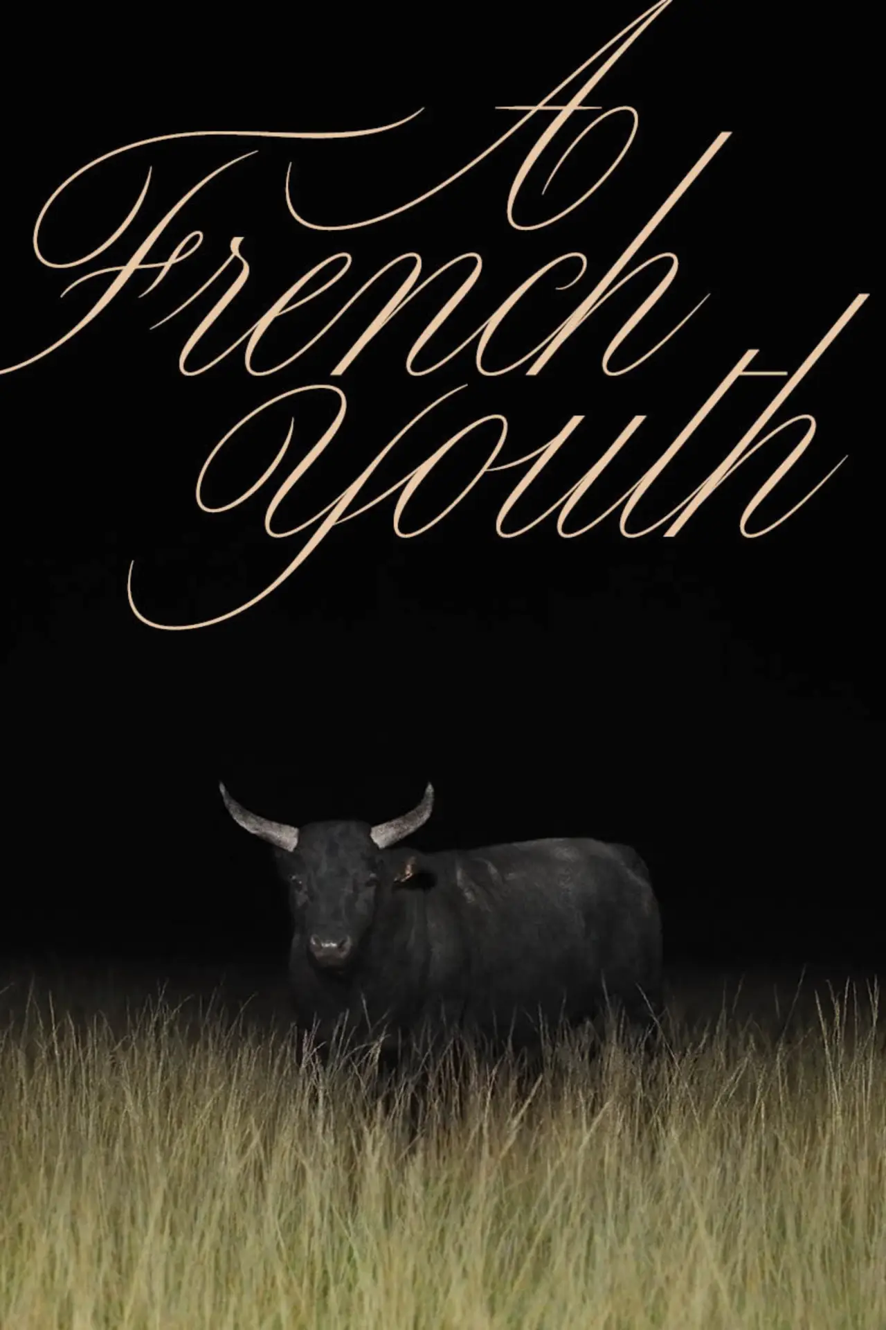 Постер к фильму "Une jeunesse française"