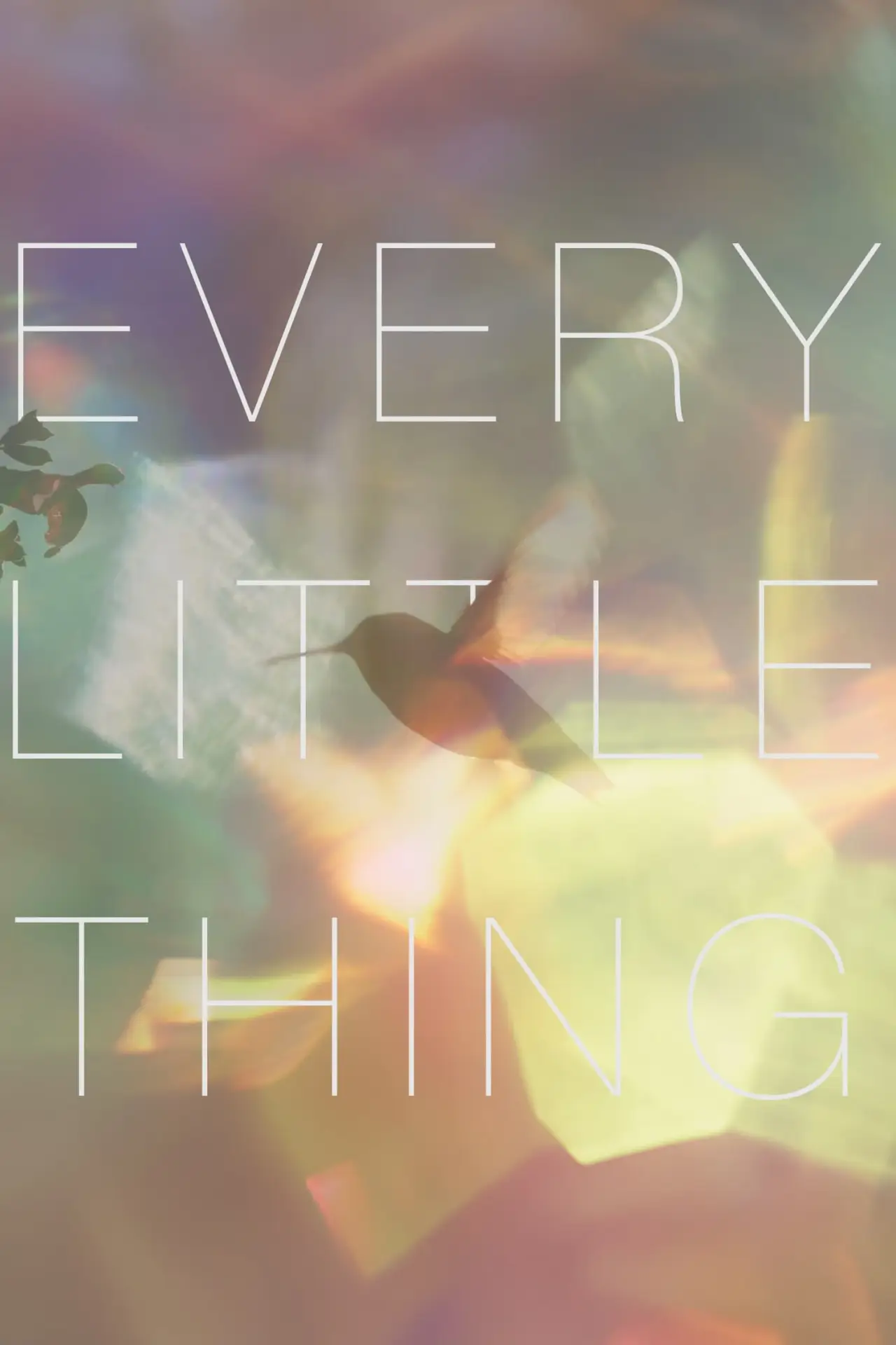 Постер к фильму "Every Little Thing"