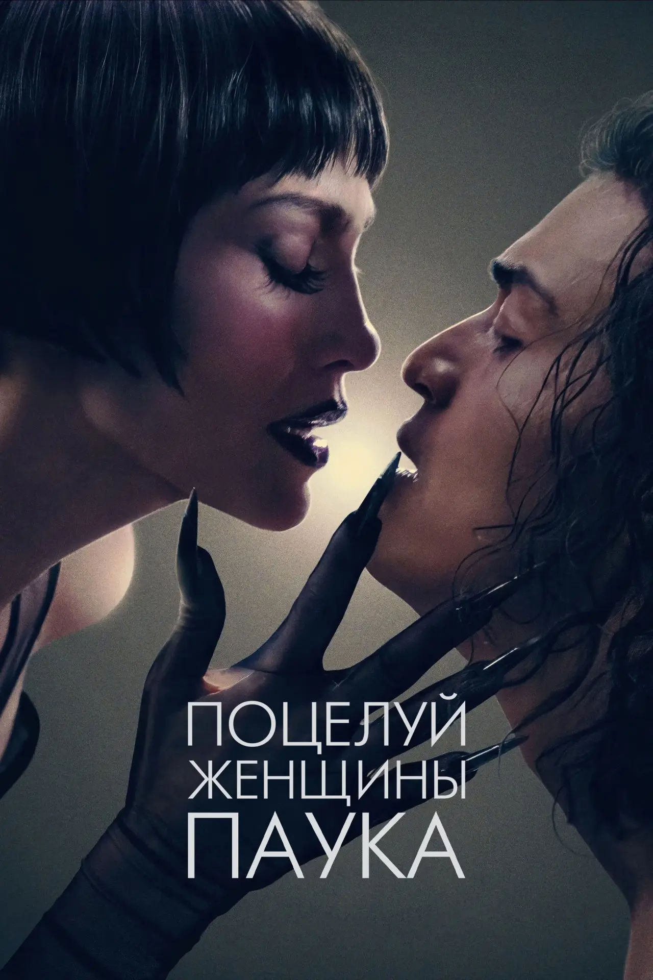 Постер к фильму "Поцелуй женщины-паука"