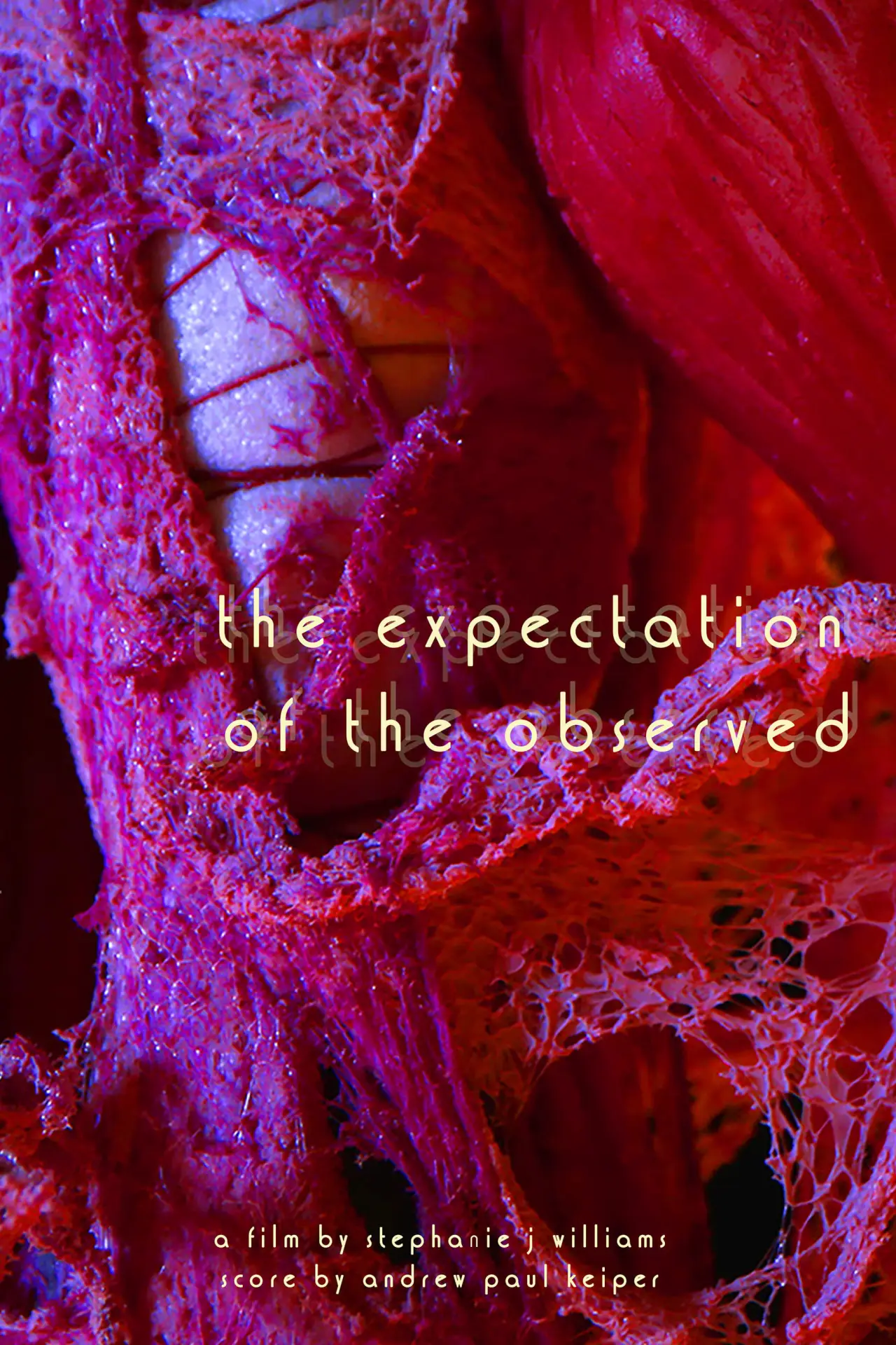 Постер к фильму "The Expectation of the Observed"