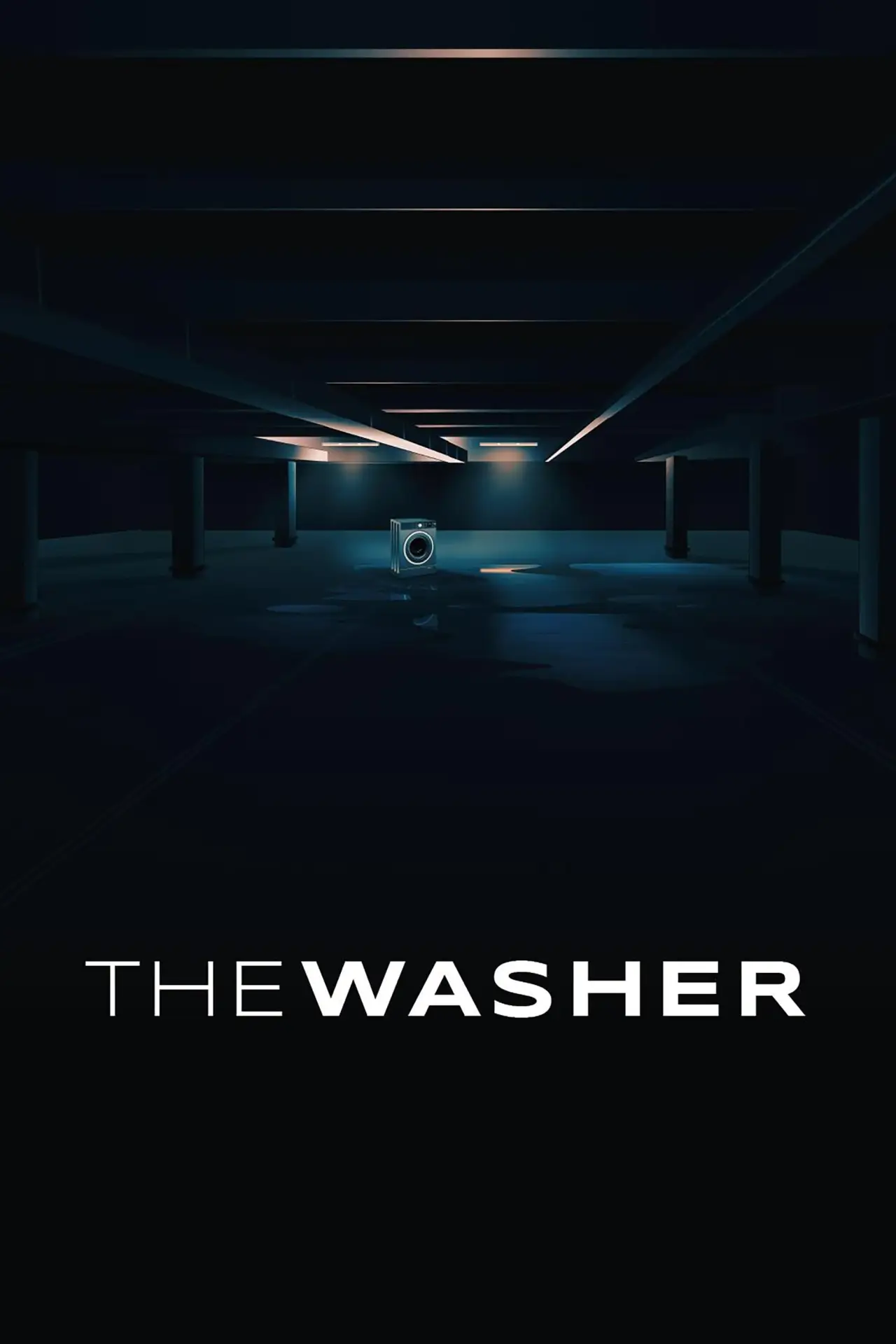 Постер к фильму "The Washer"