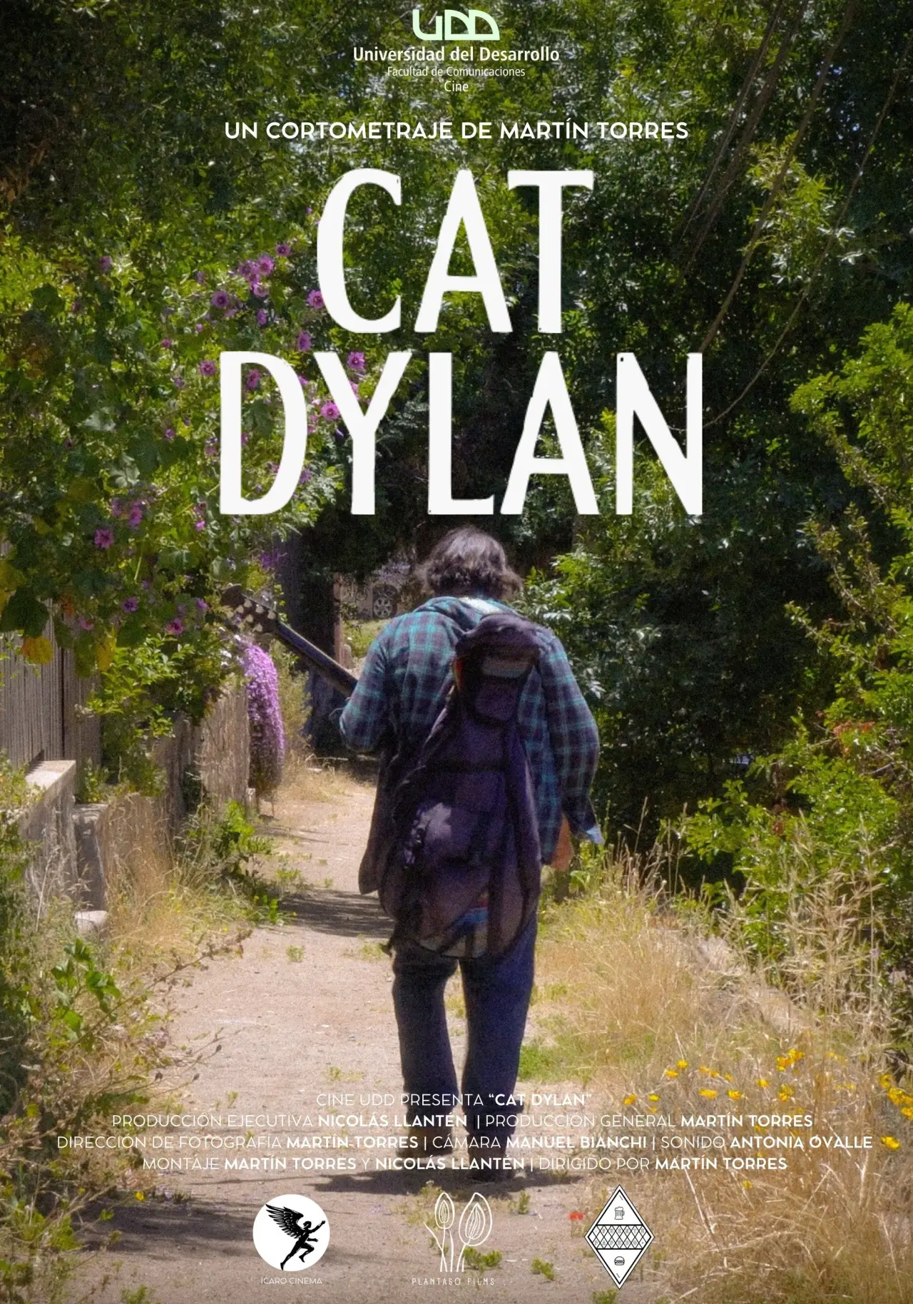 Постер к фильму "Cat Dylan"
