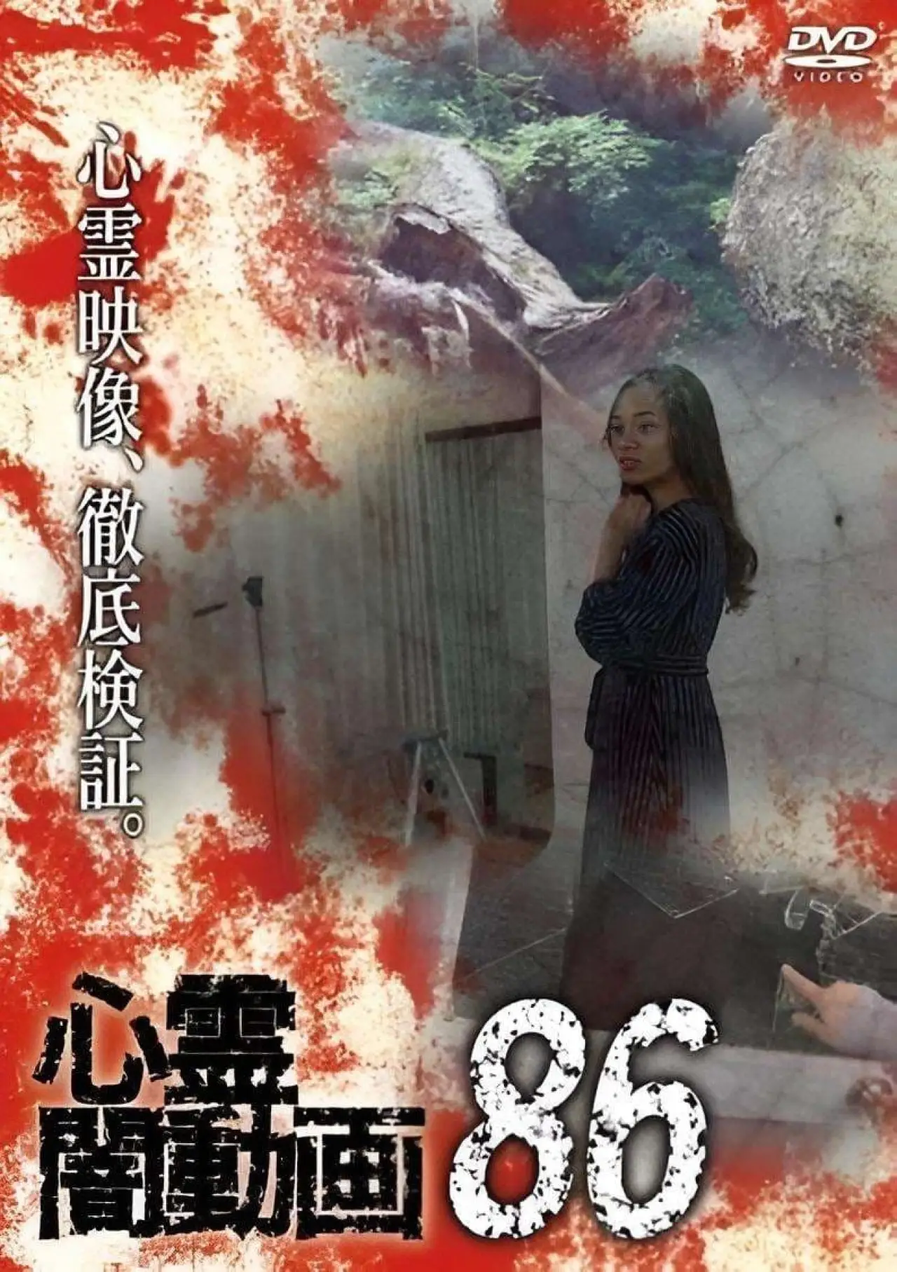 Постер к фильму "心霊闇動画86"