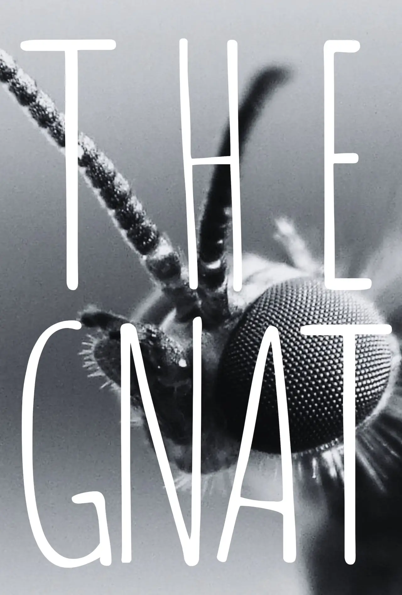 Постер к фильму "The Gnat"