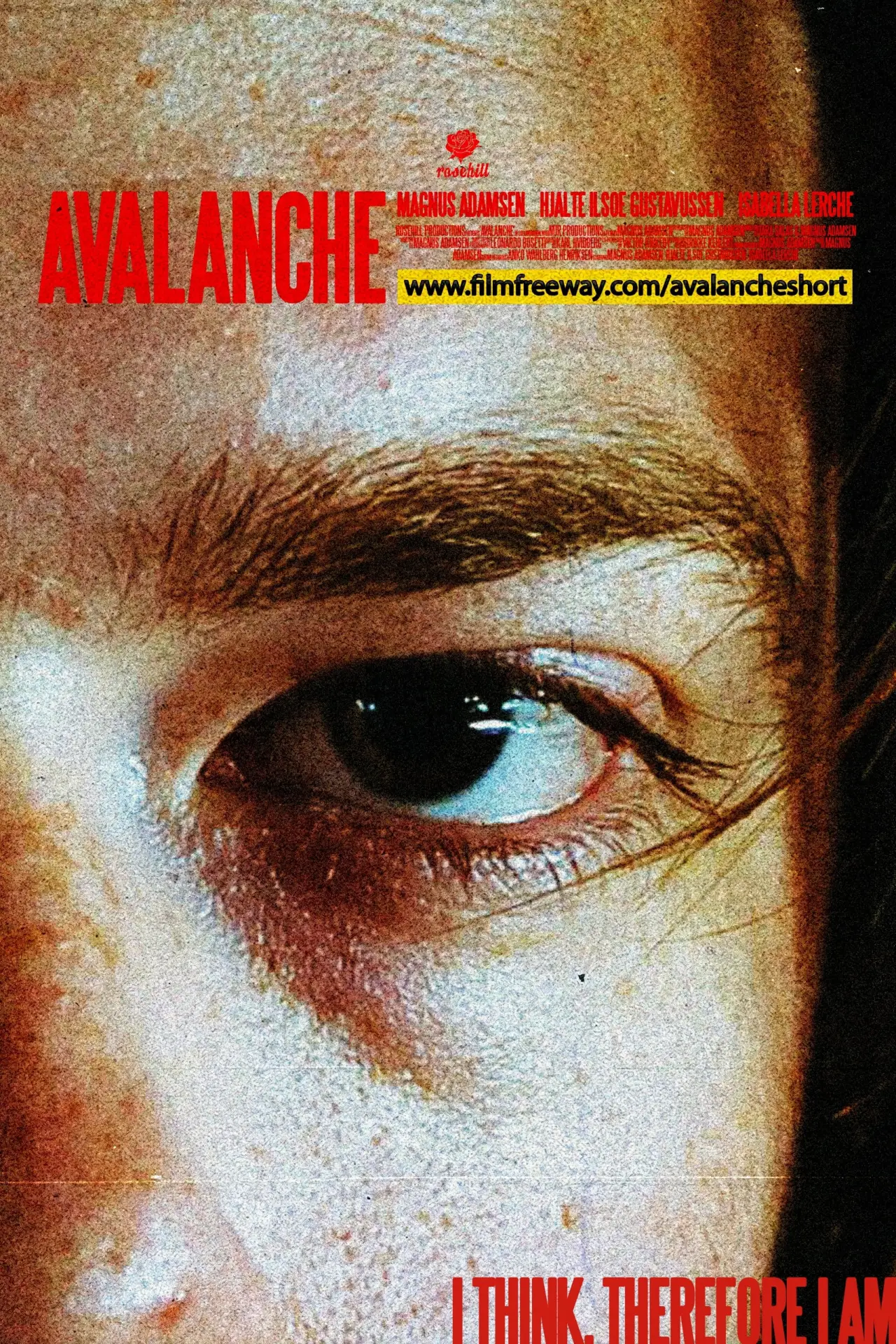 Постер к фильму "Avalanche"