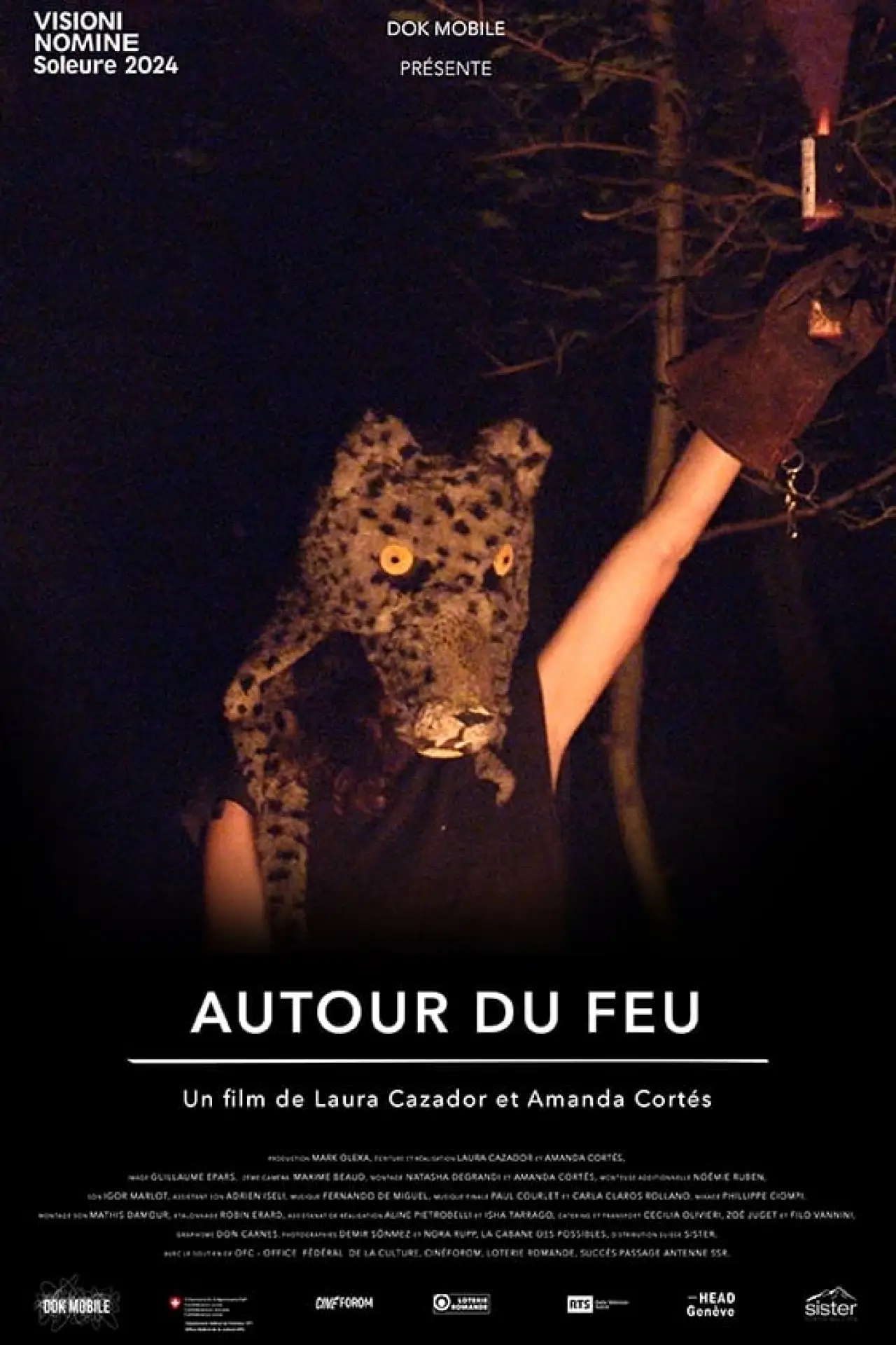 Постер к фильму "Autour du feu"