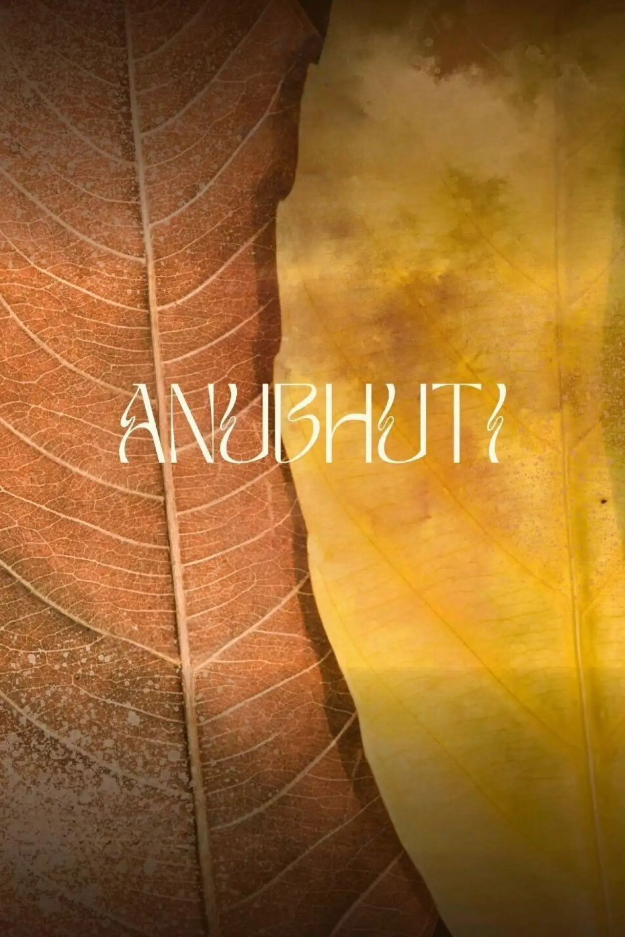 Постер к фильму "अनुभूति"