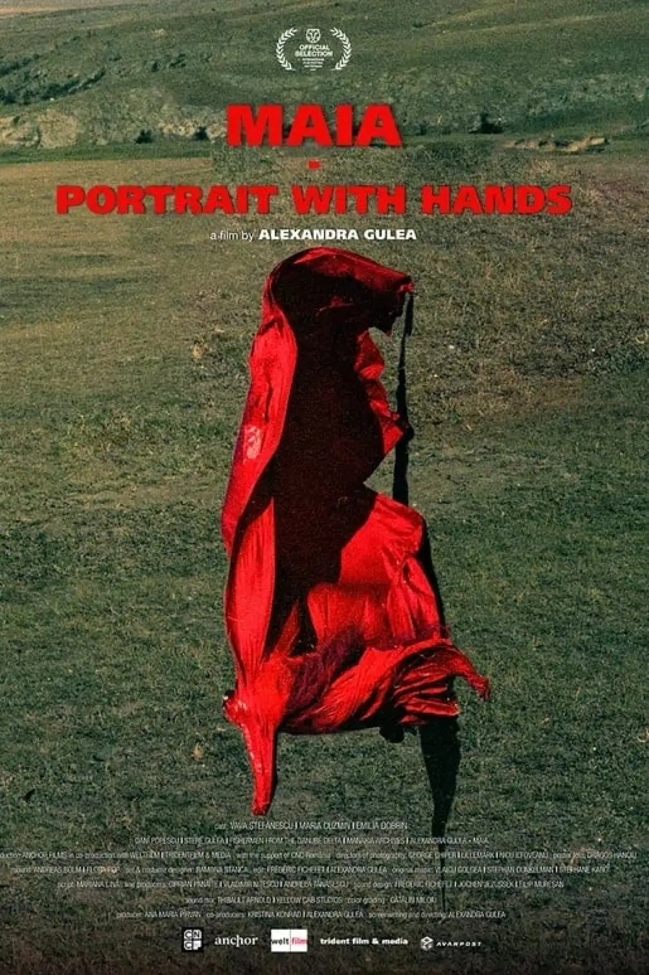 Постер к фильму "Maia – Portret cu mâini"