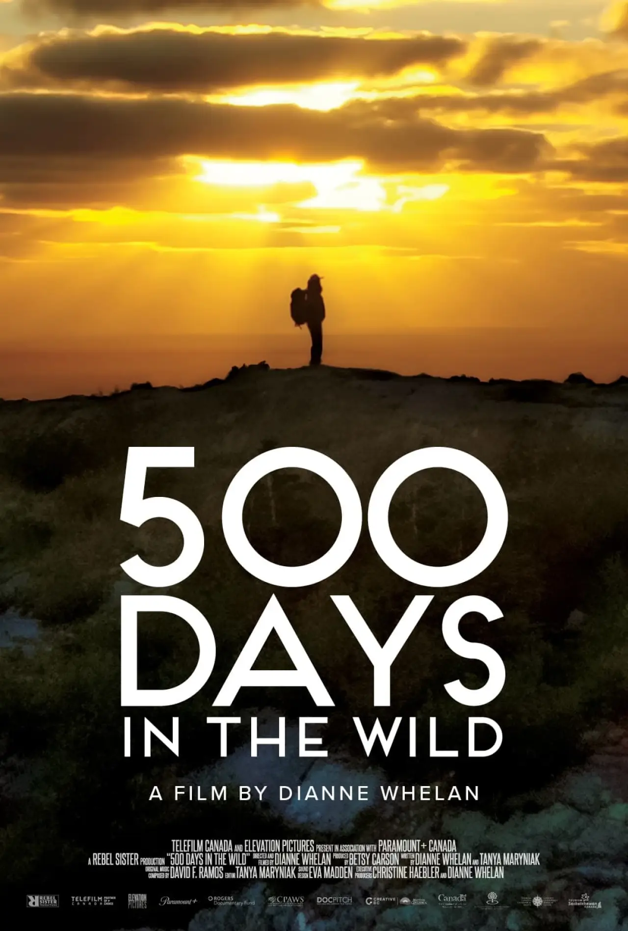Постер к фильму "500 Days in the Wild"