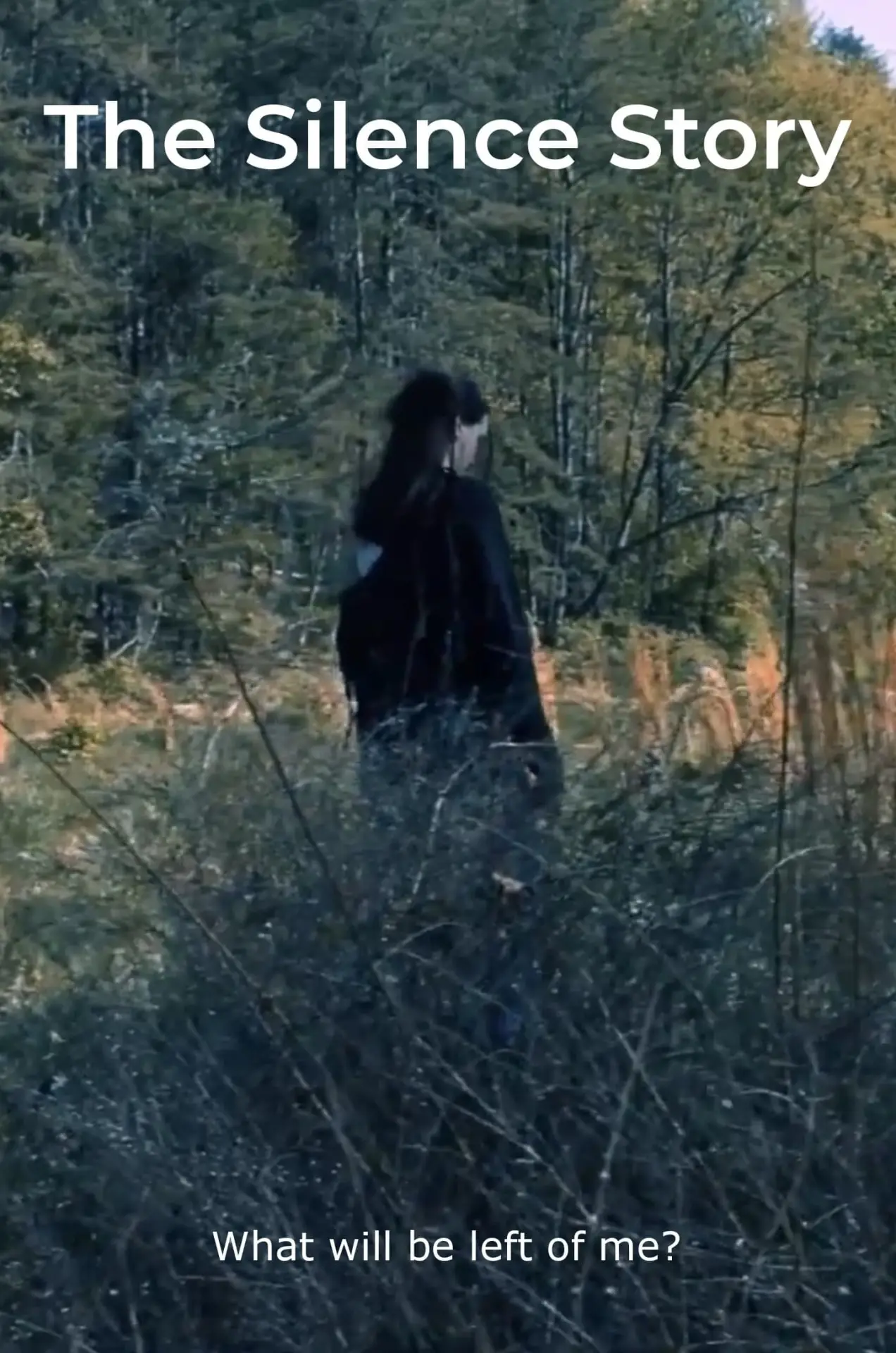Постер к фильму "The Silence Story"