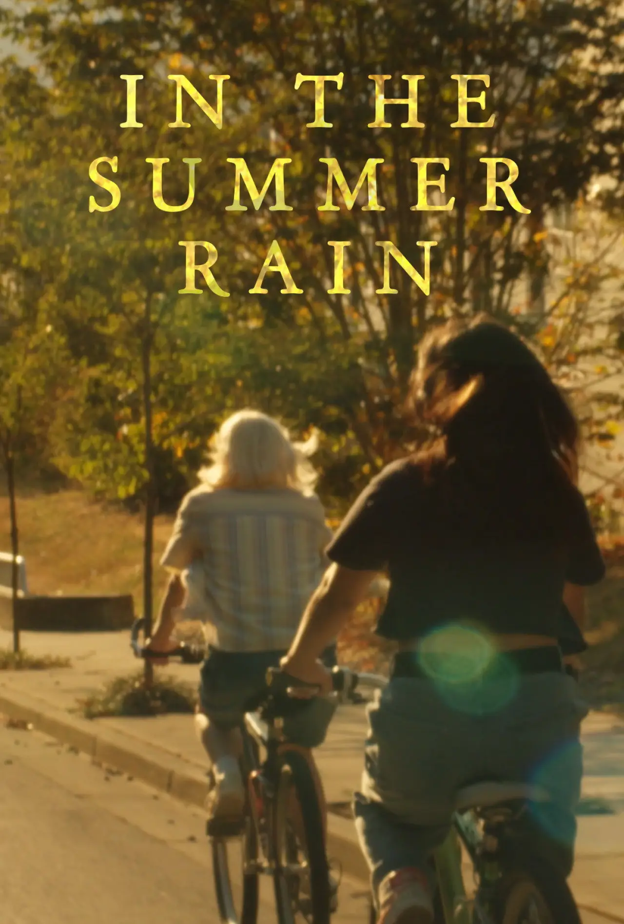 Постер к фильму "In the Summer Rain"