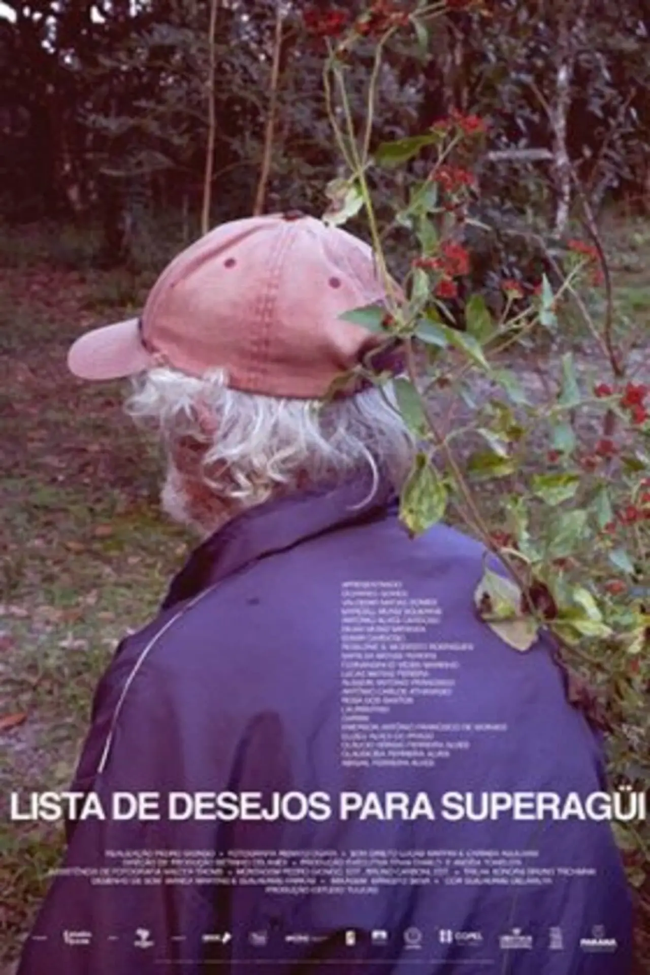 Постер к фильму "Lista de Desejos para Superagüi"