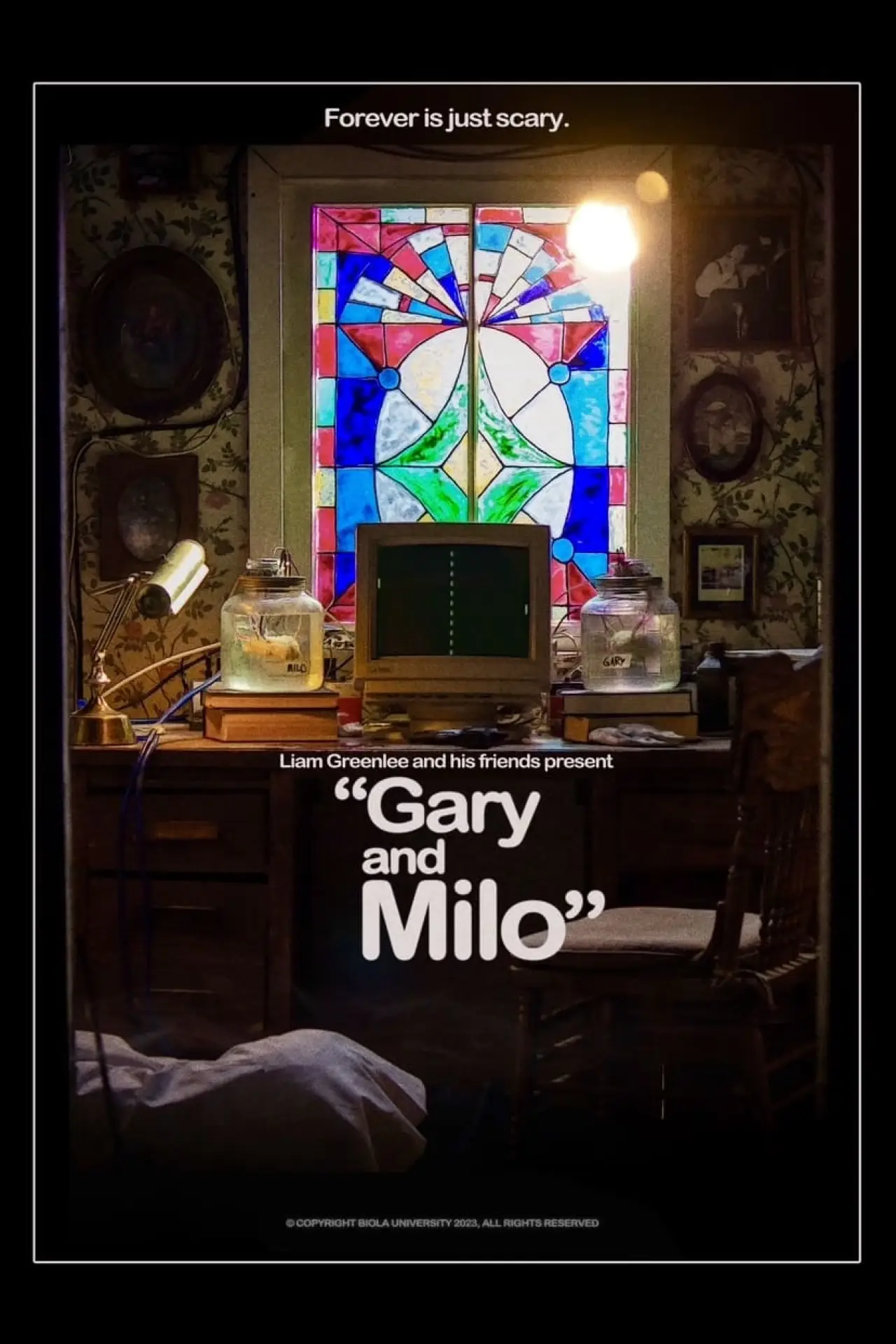 Постер к фильму "Gary and Milo"