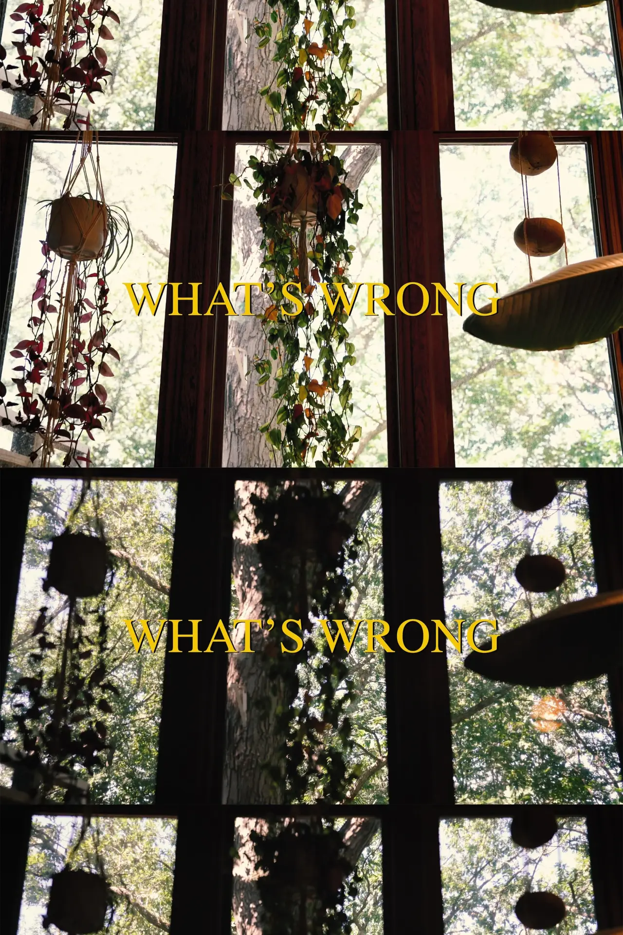 Постер к фильму "What