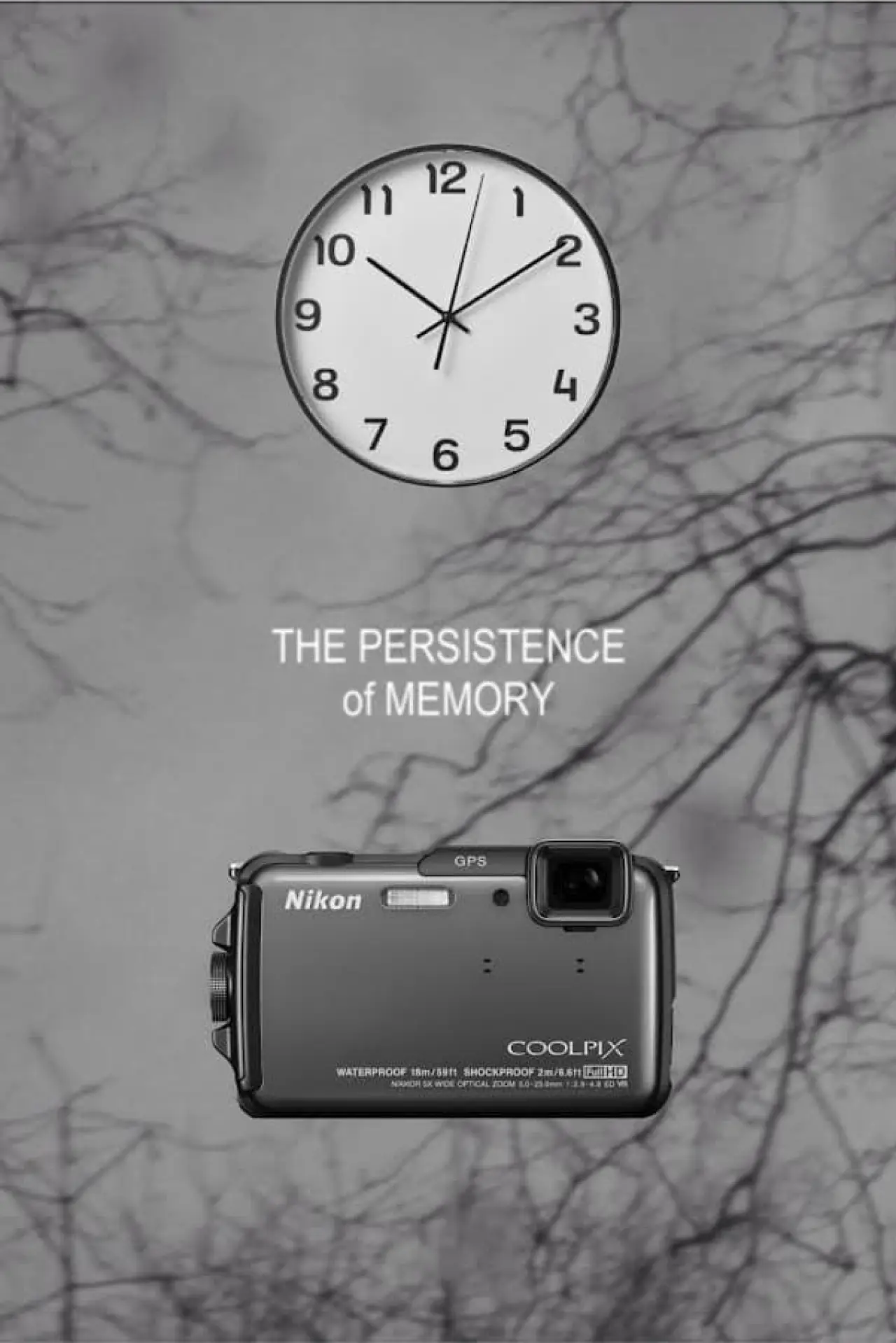 Постер к фильму "The Persistence of Memory"