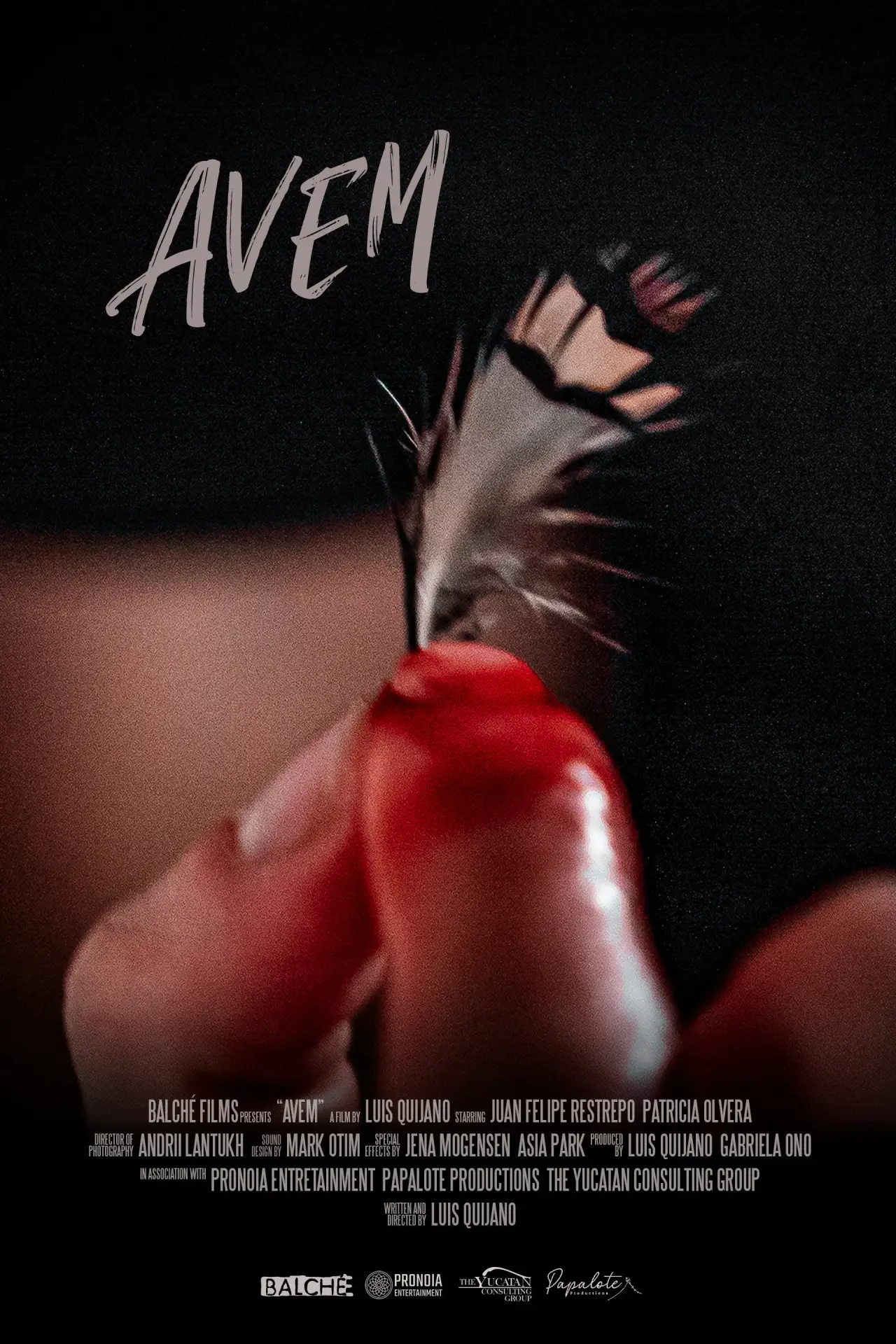 Постер к фильму "Avem"