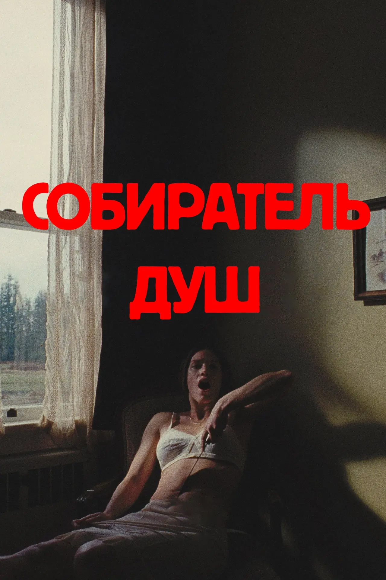 Постер к фильму "Собиратель душ"