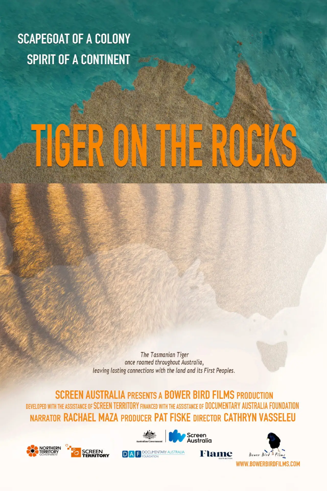 Постер к фильму "Tiger on the Rocks"