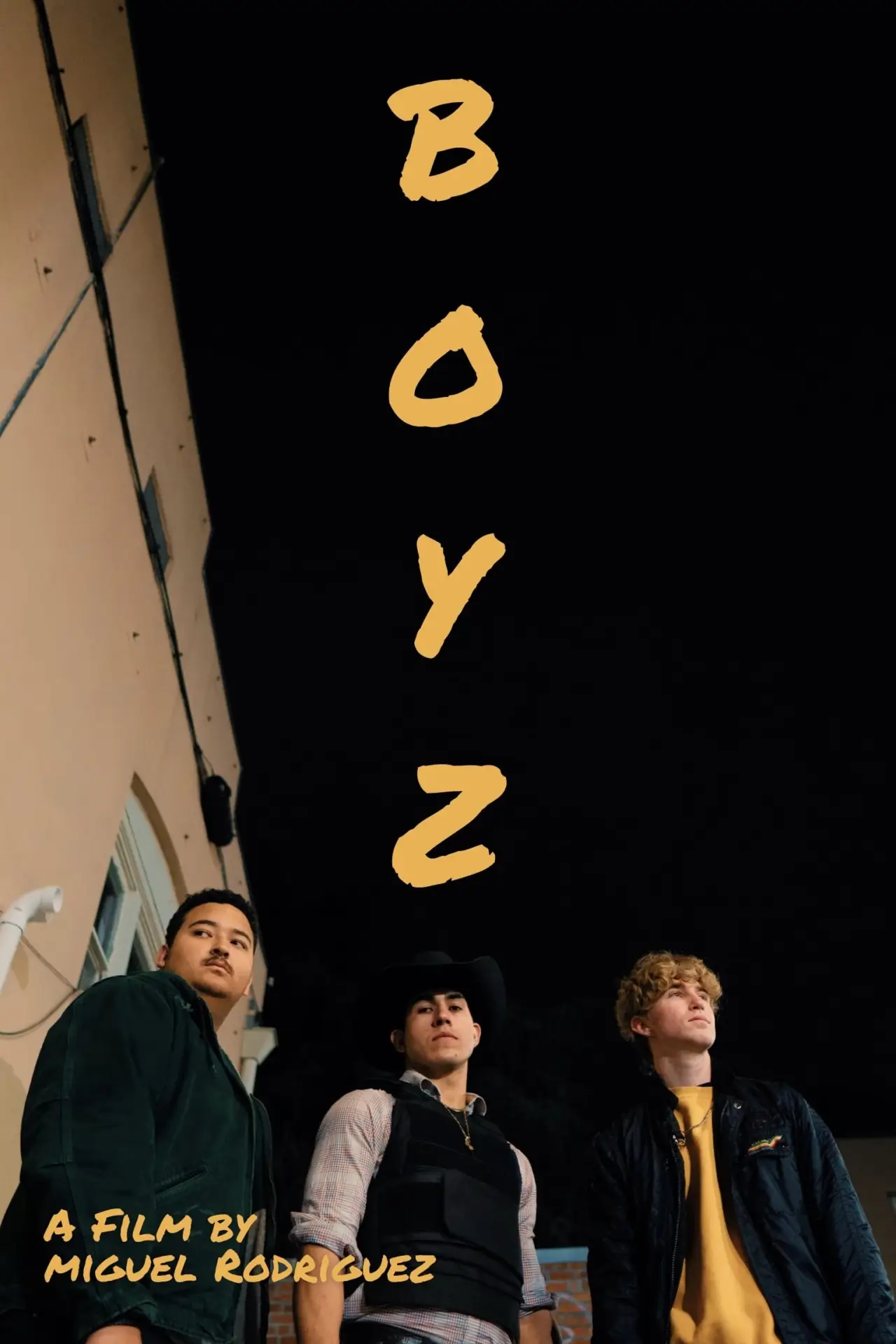 Постер к фильму "Boyz"