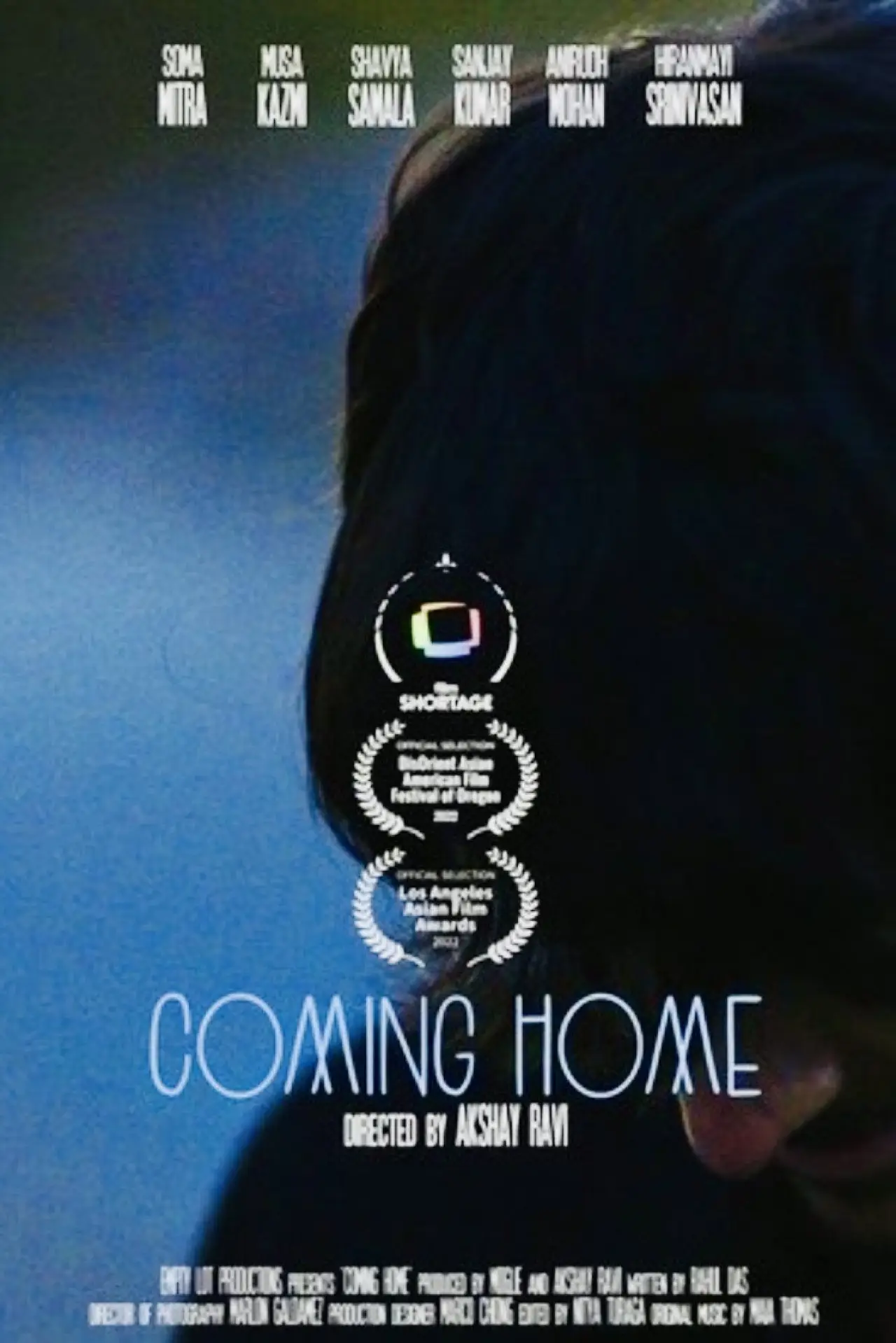 Постер к фильму "Coming Home"