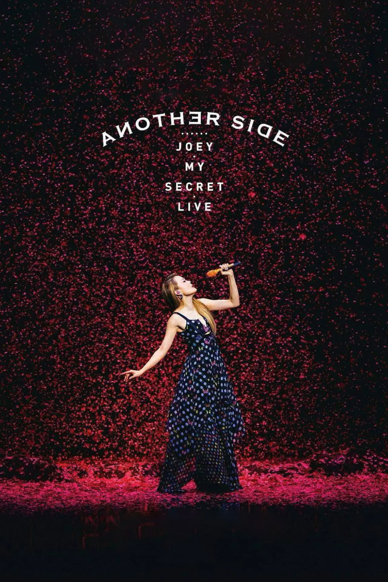 Постер к фильму "Another Side Joey My Secret Live"