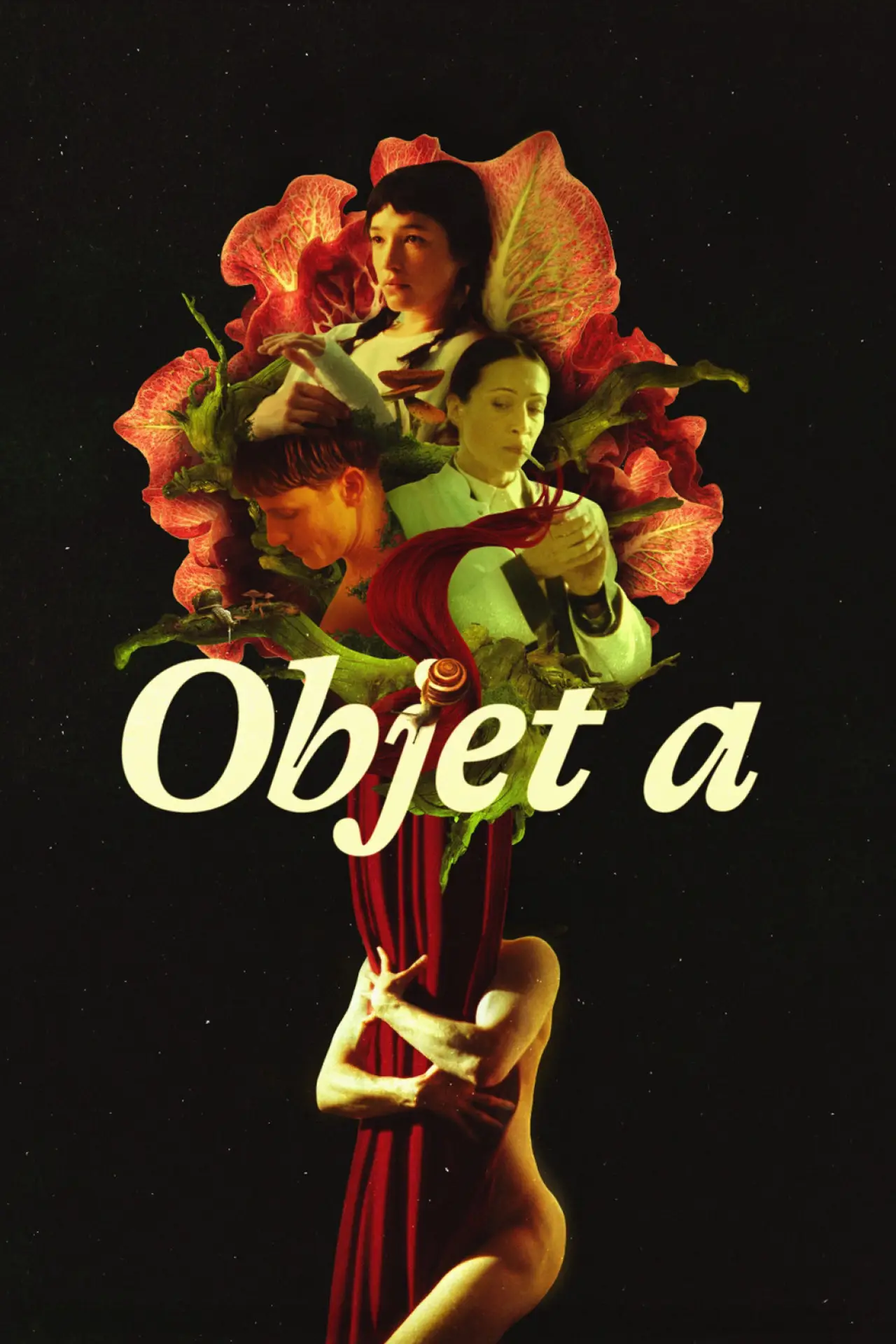 Постер к фильму "Objet a"