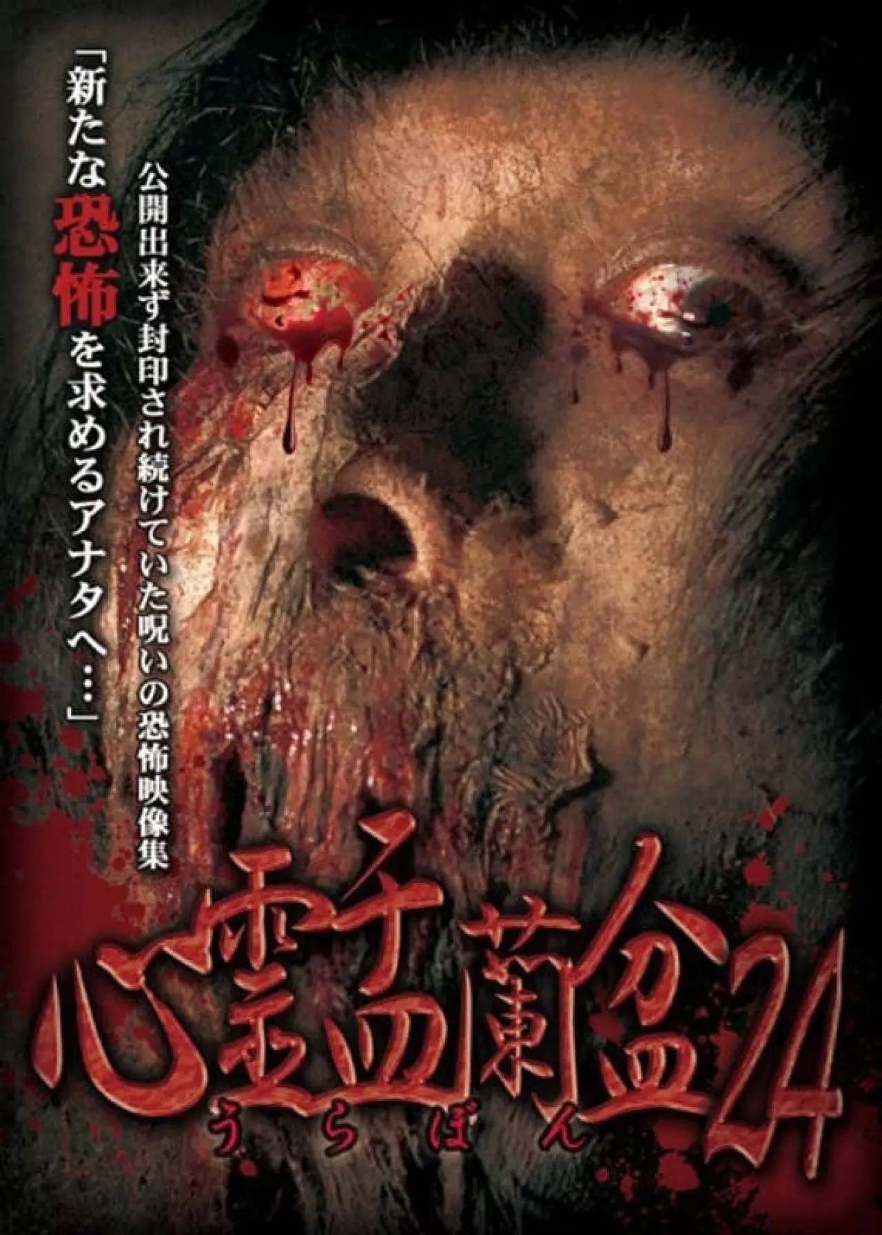 Постер к фильму "心霊盂蘭盆24 メタフィクション"