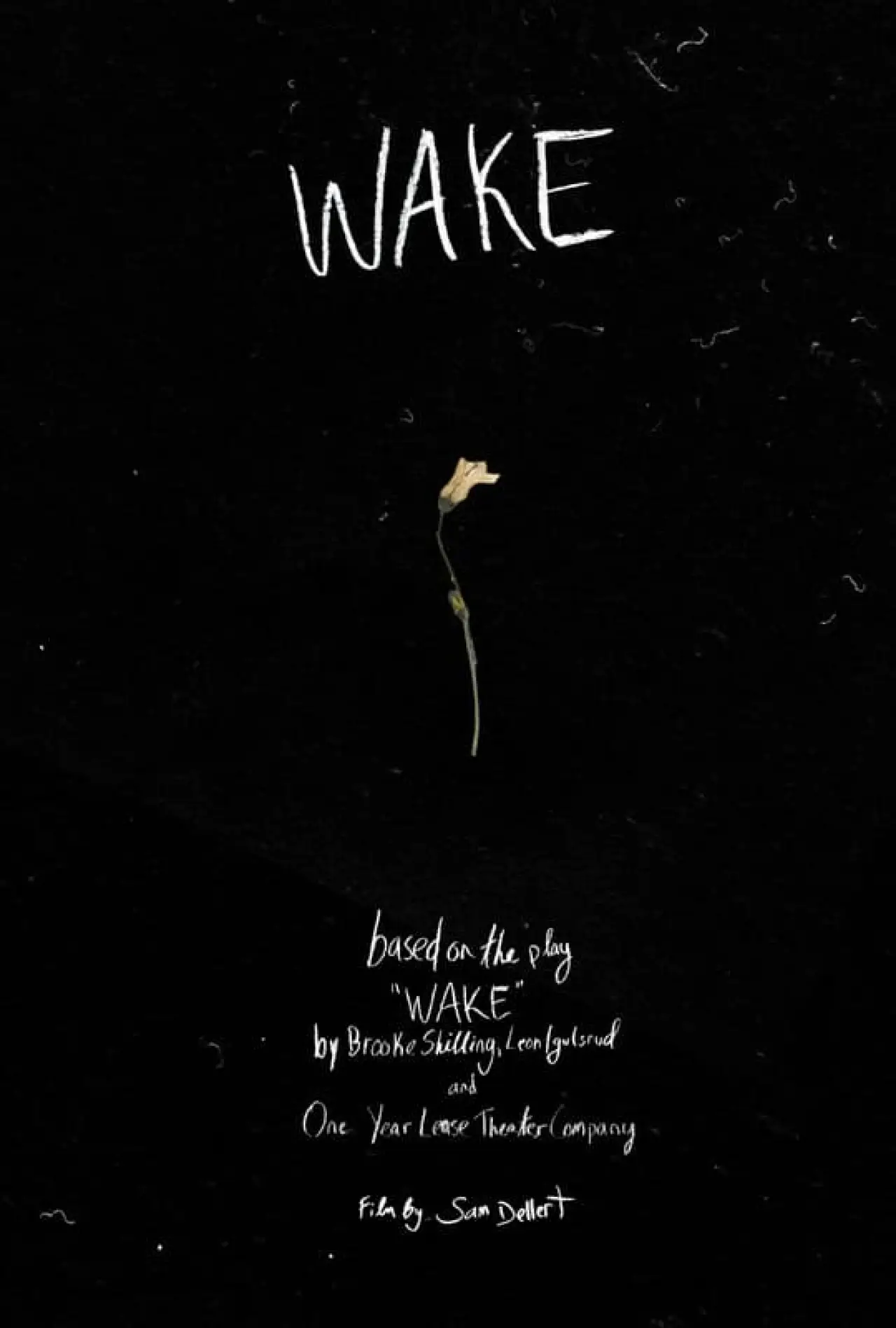 Постер к фильму "Wake"