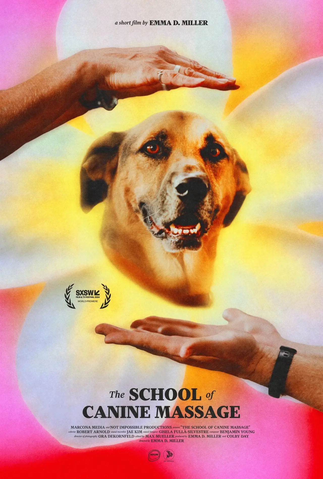 Постер к фильму "The School of Canine Massage"