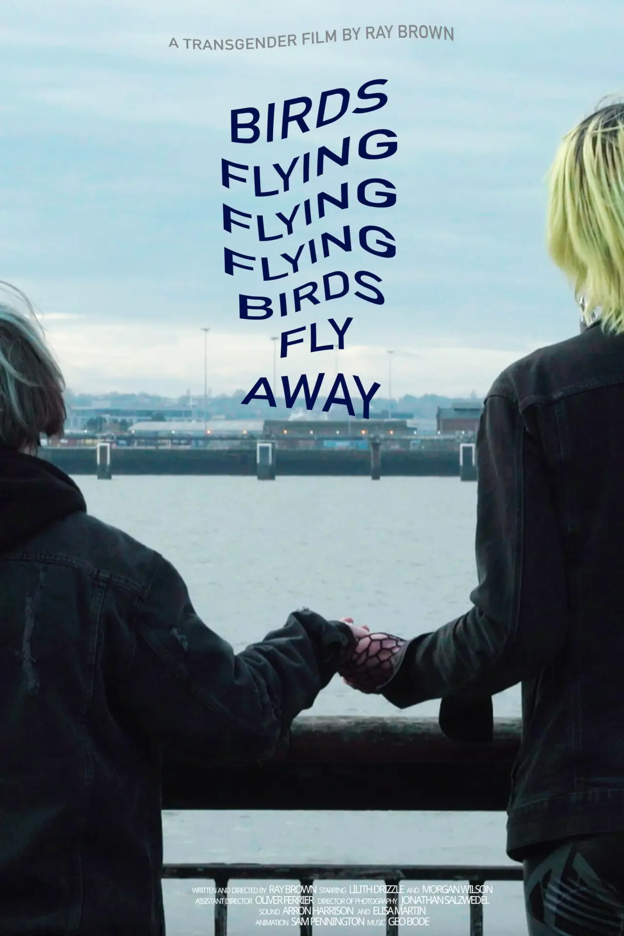 Постер к фильму "Birds Flying Flying Flying Birds Fly Away"