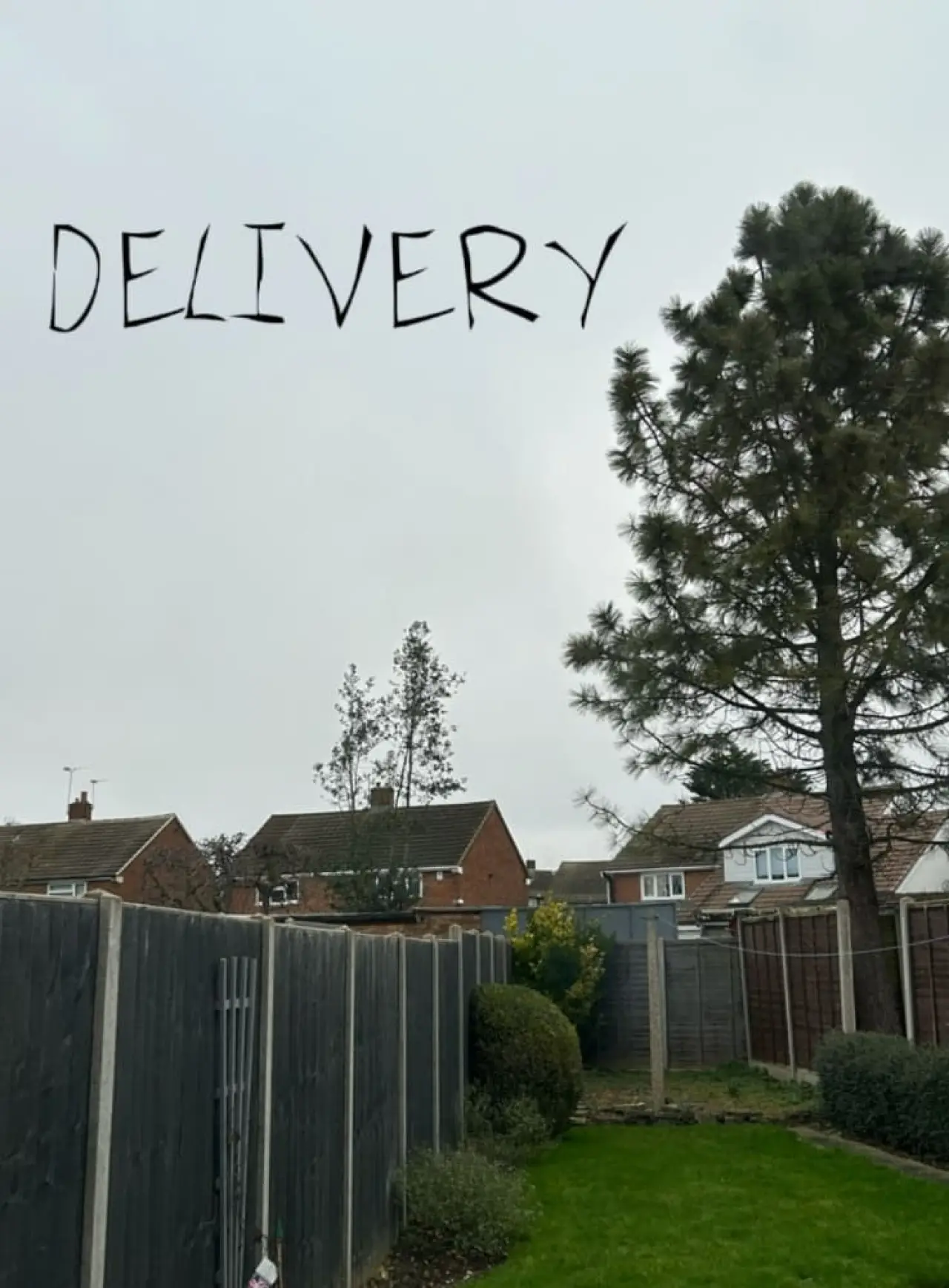 Постер к фильму "Delivery"