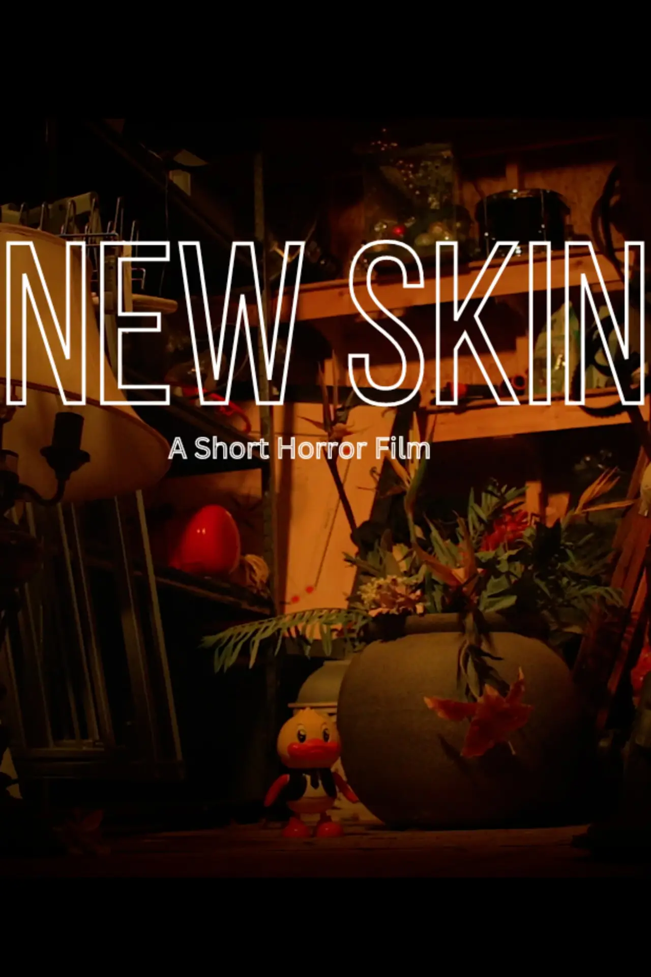 Постер к фильму "New Skin"