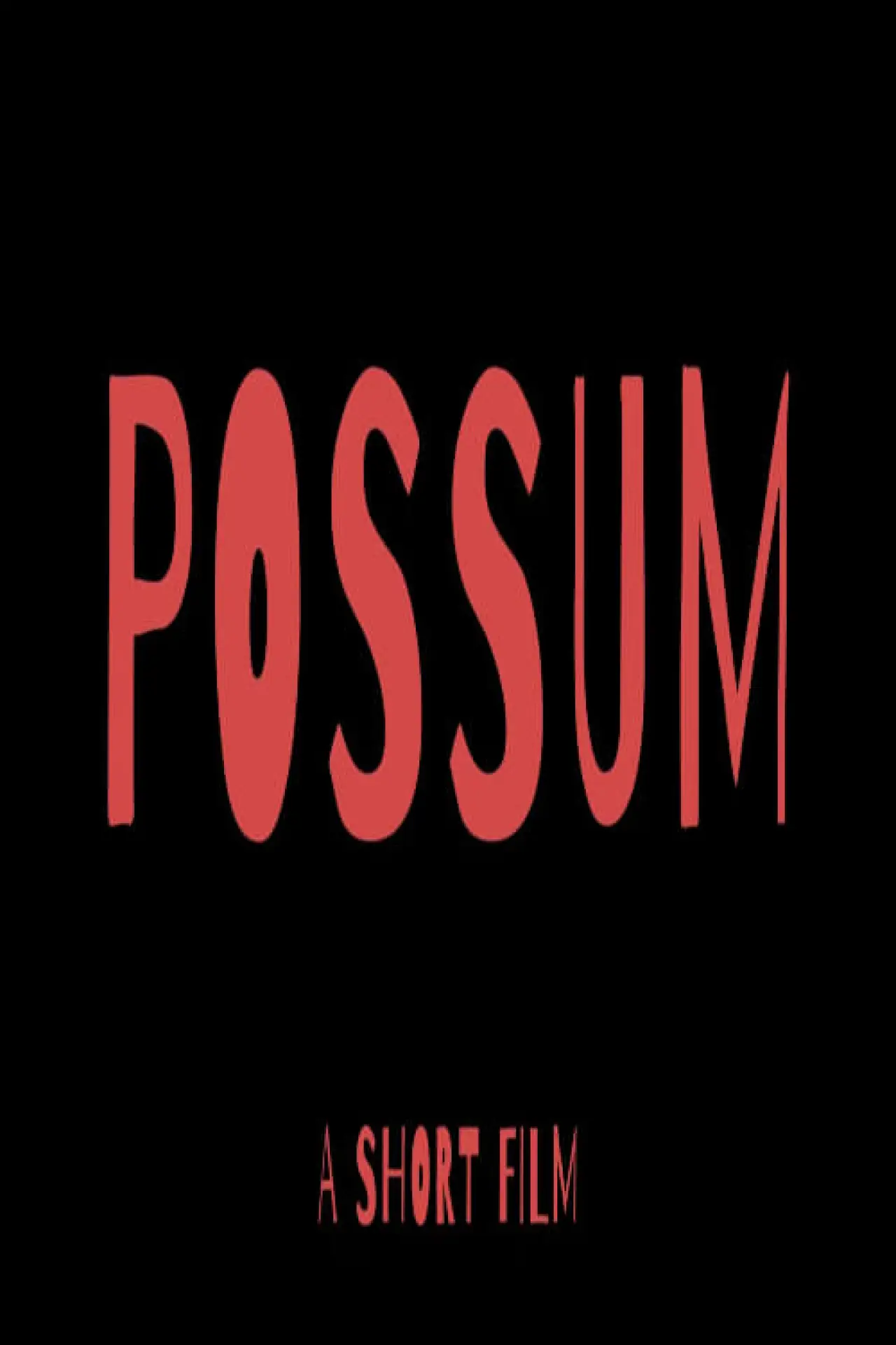 Постер к фильму "POSSUM"