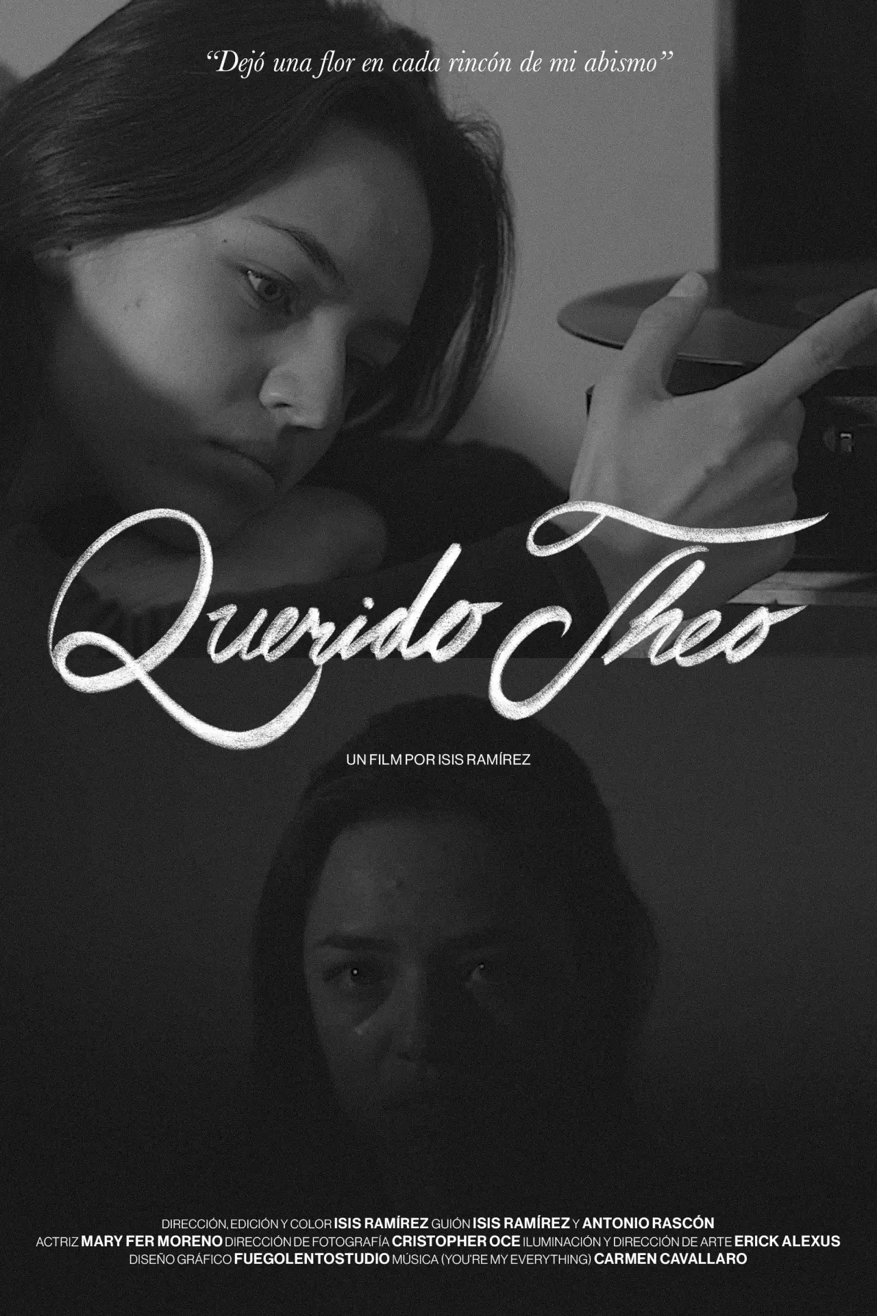 Постер к фильму "Querido Theo"
