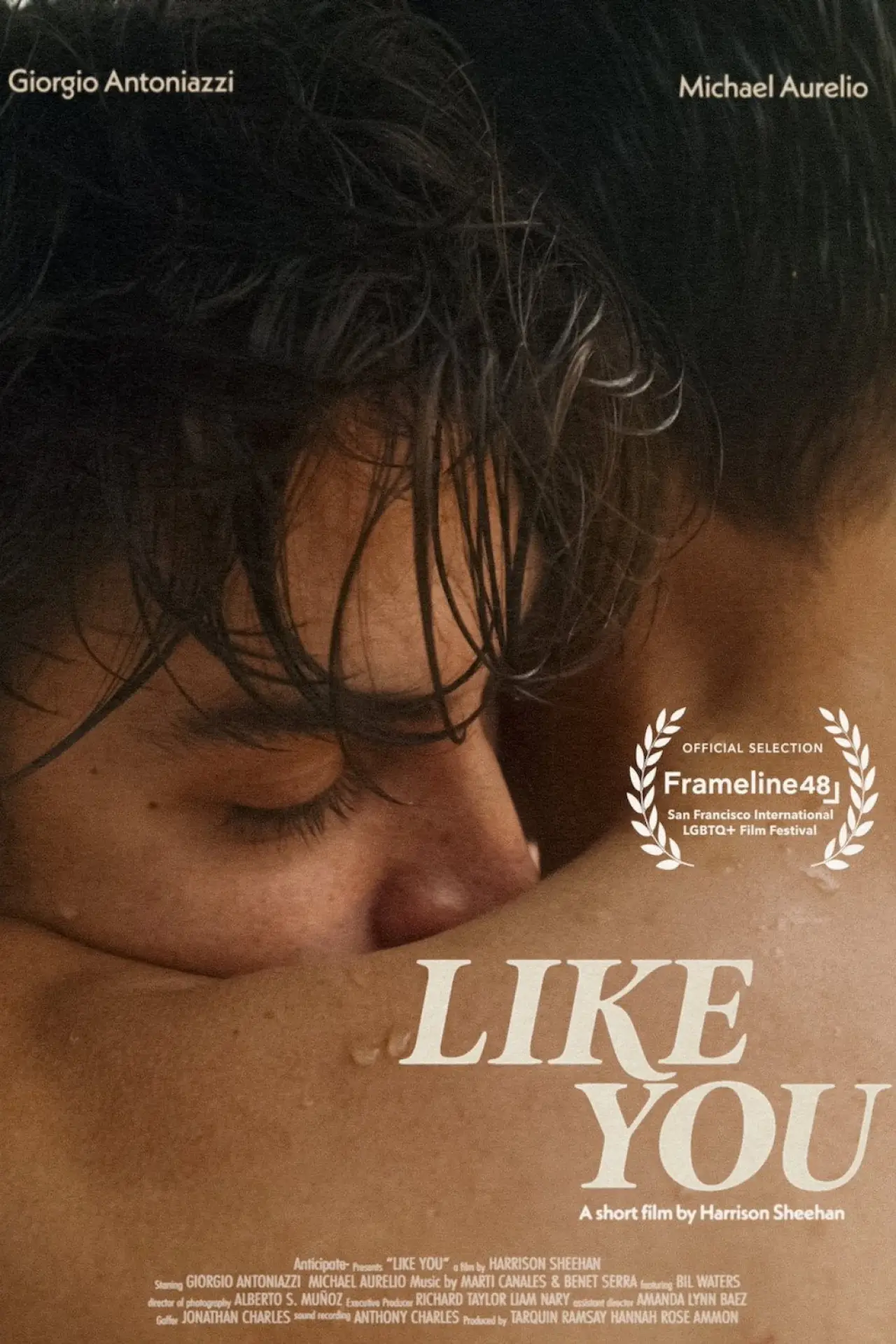 Постер к фильму "Like You"