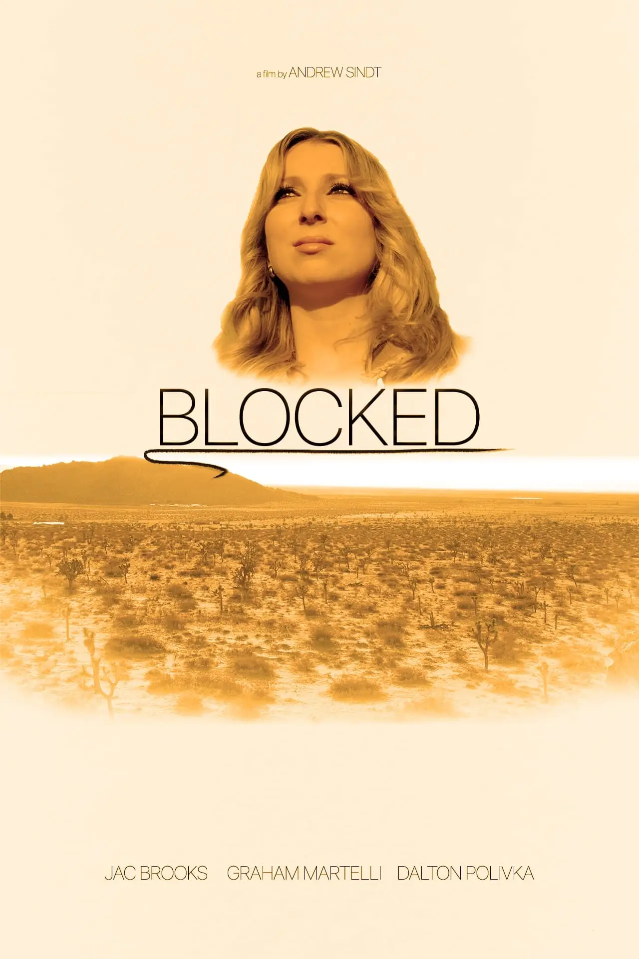 Постер к фильму "Blocked"