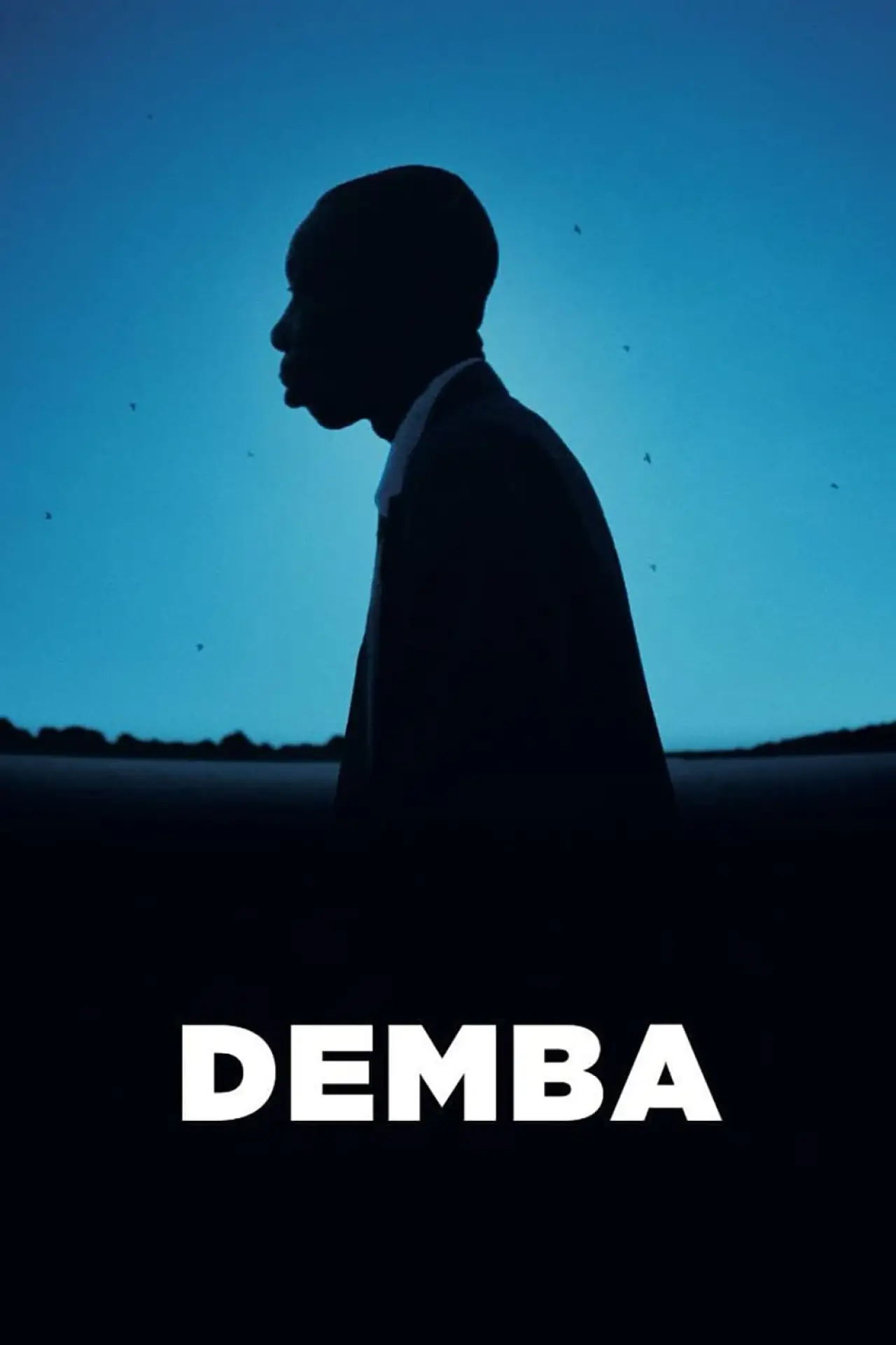 Постер к фильму "Demba"