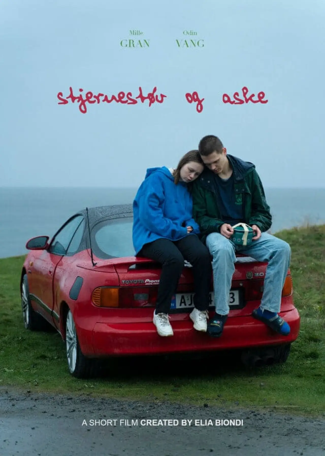 Постер к фильму "Stjernestøv og Aske"