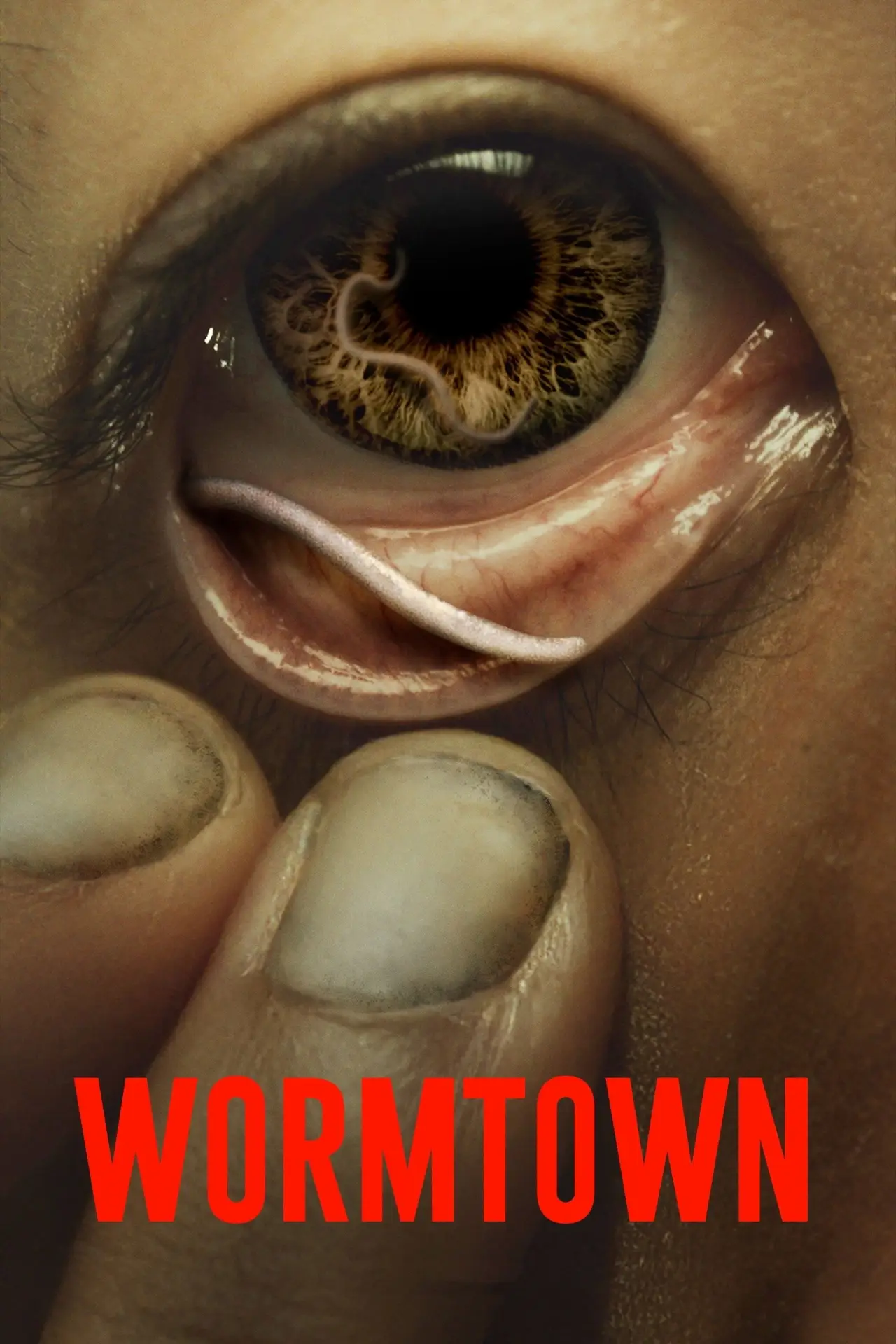 Постер к фильму "Wormtown"