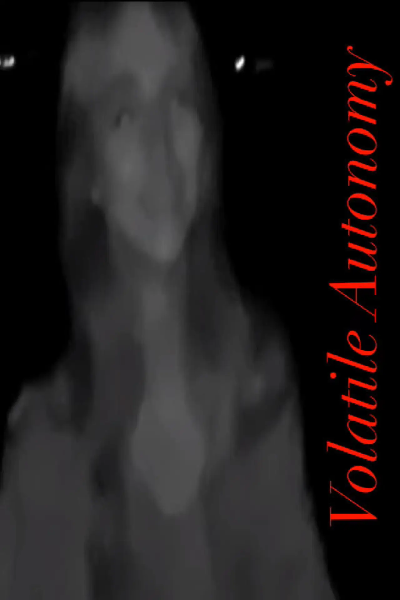 Постер к фильму "Volatile Autonomy"