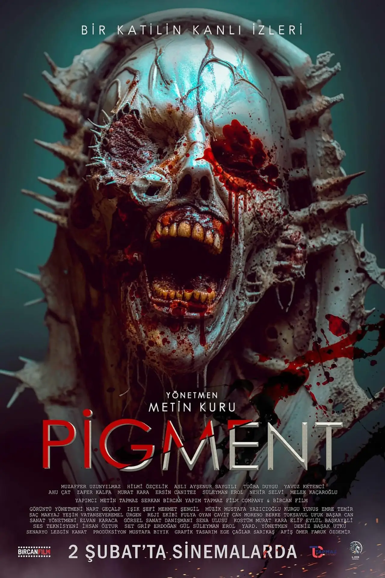Постер к фильму "Pigment"