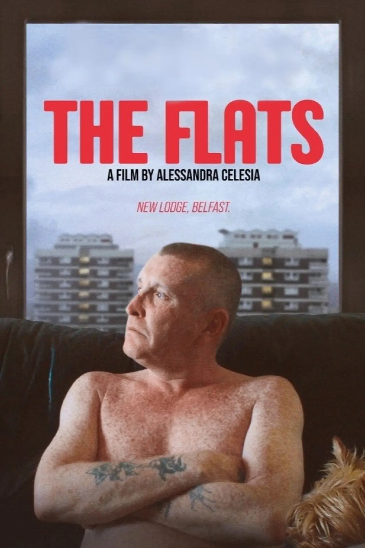 Постер к фильму "The Flats"